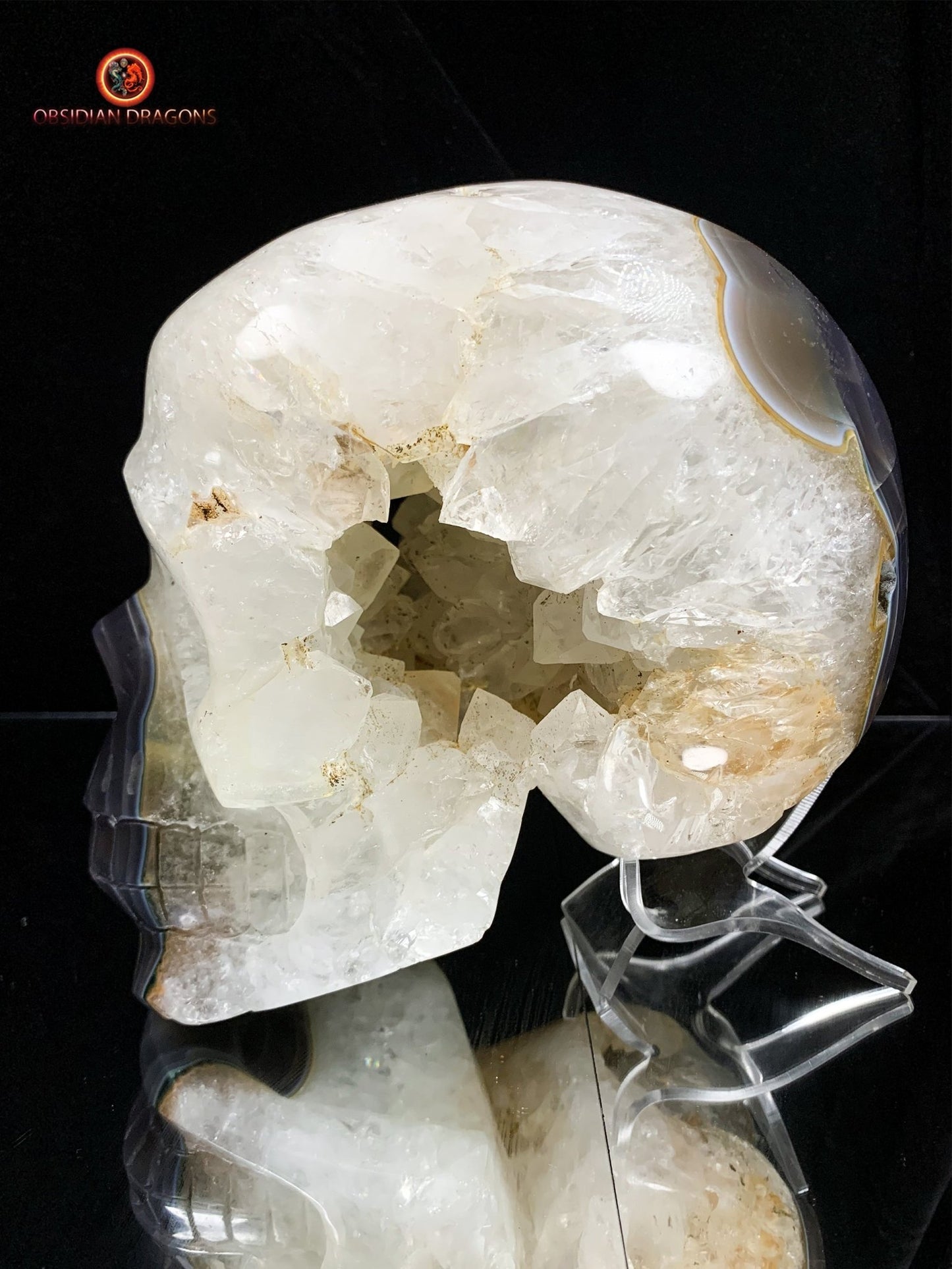 Très grand crâne de cristal- Géode de quartz | obsidian dragons