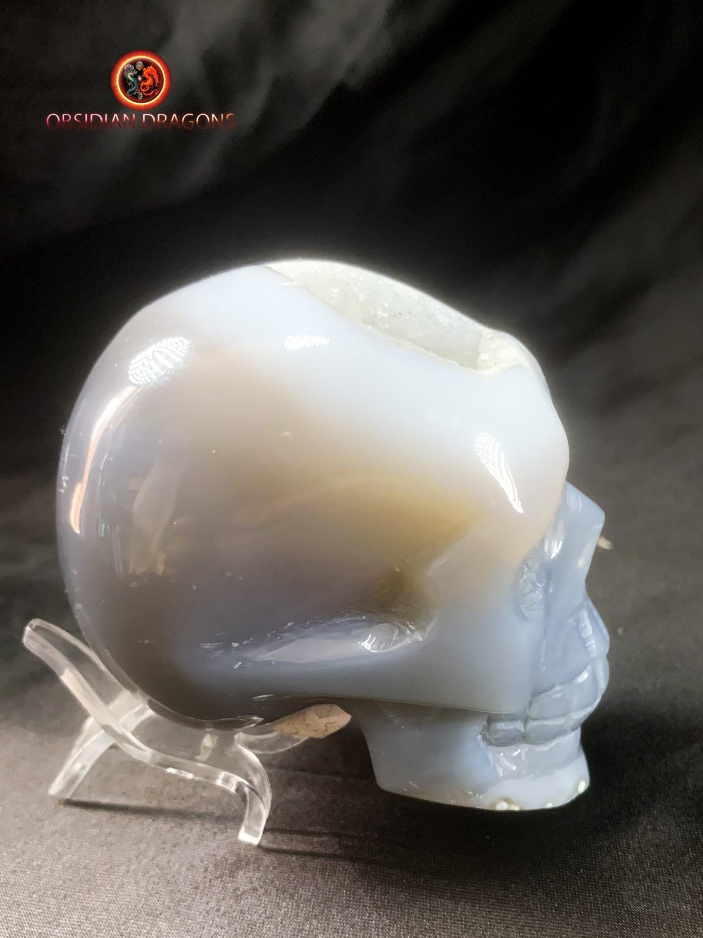 Crâne de cristal dans une géode de quartz- Unique | obsidian dragons