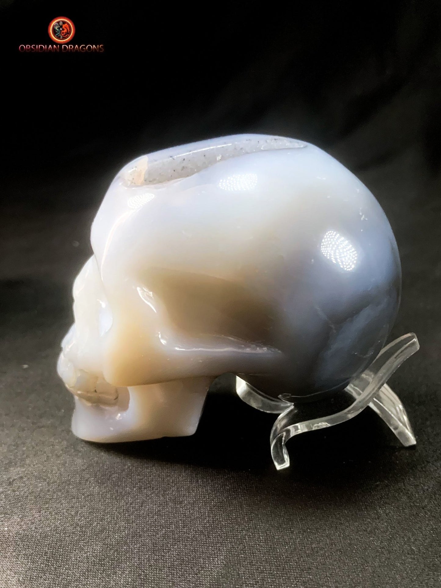 Petit crâne de cristal sculpté dans une géode de quartz | obsidian dragons