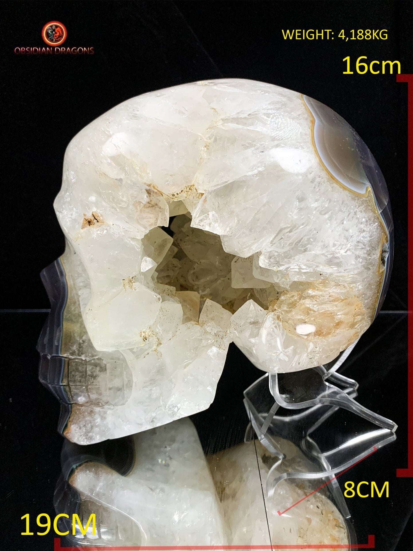 Très grand crâne de cristal- Géode de quartz | obsidian dragons