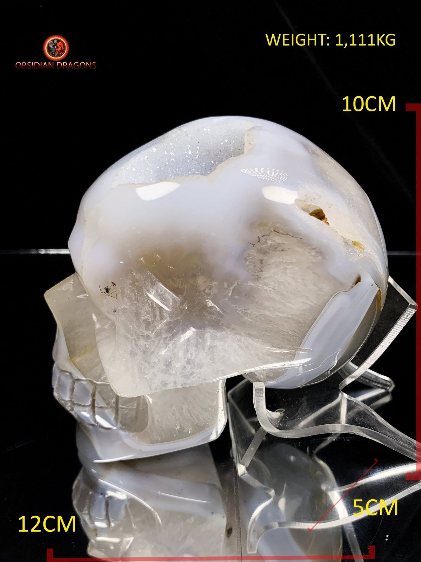 Crâne de cristal sculpté dans une géode de quartz | obsidian dragons