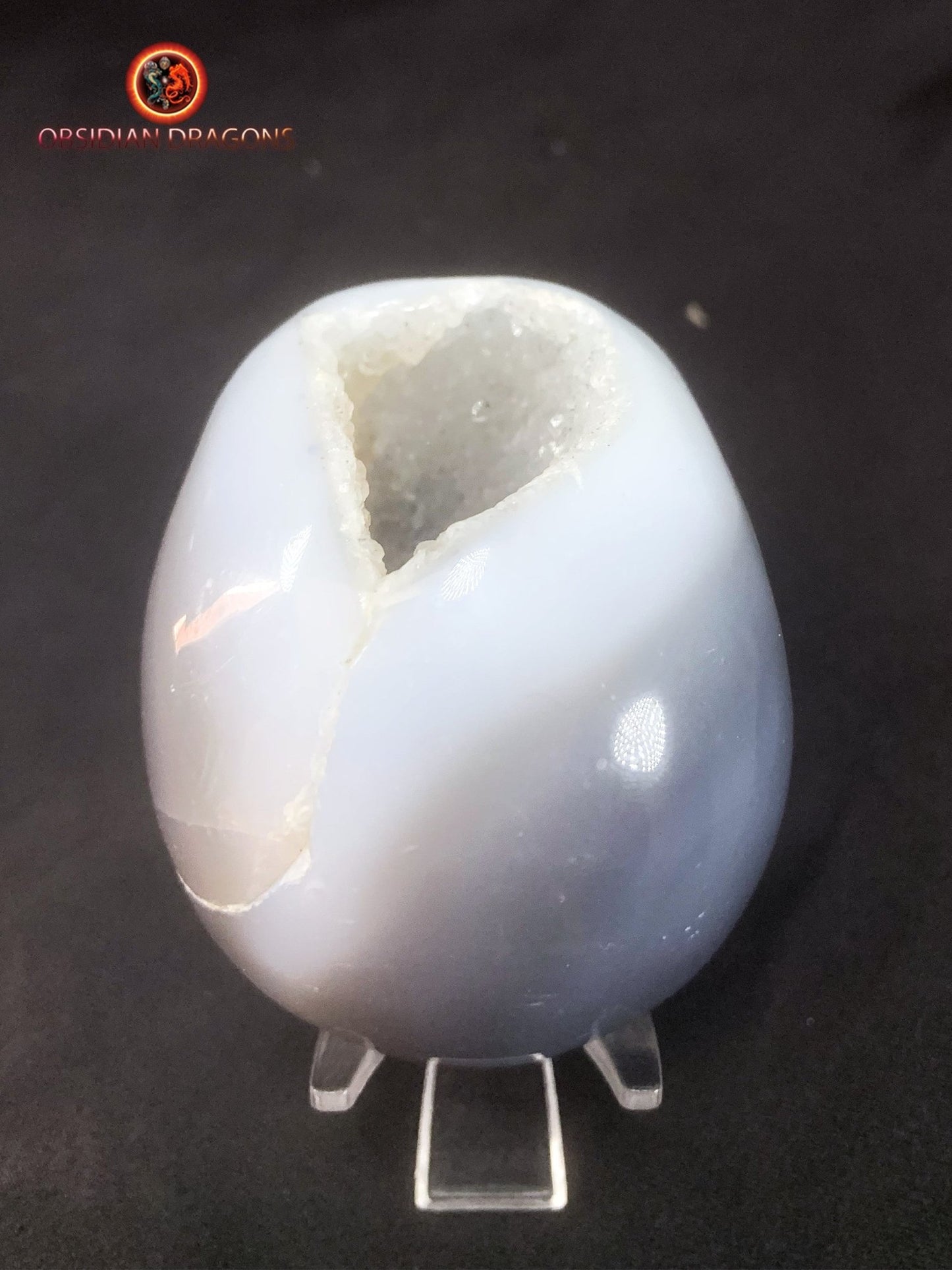 Crâne de cristal dans une géode de quartz- Unique | obsidian dragons