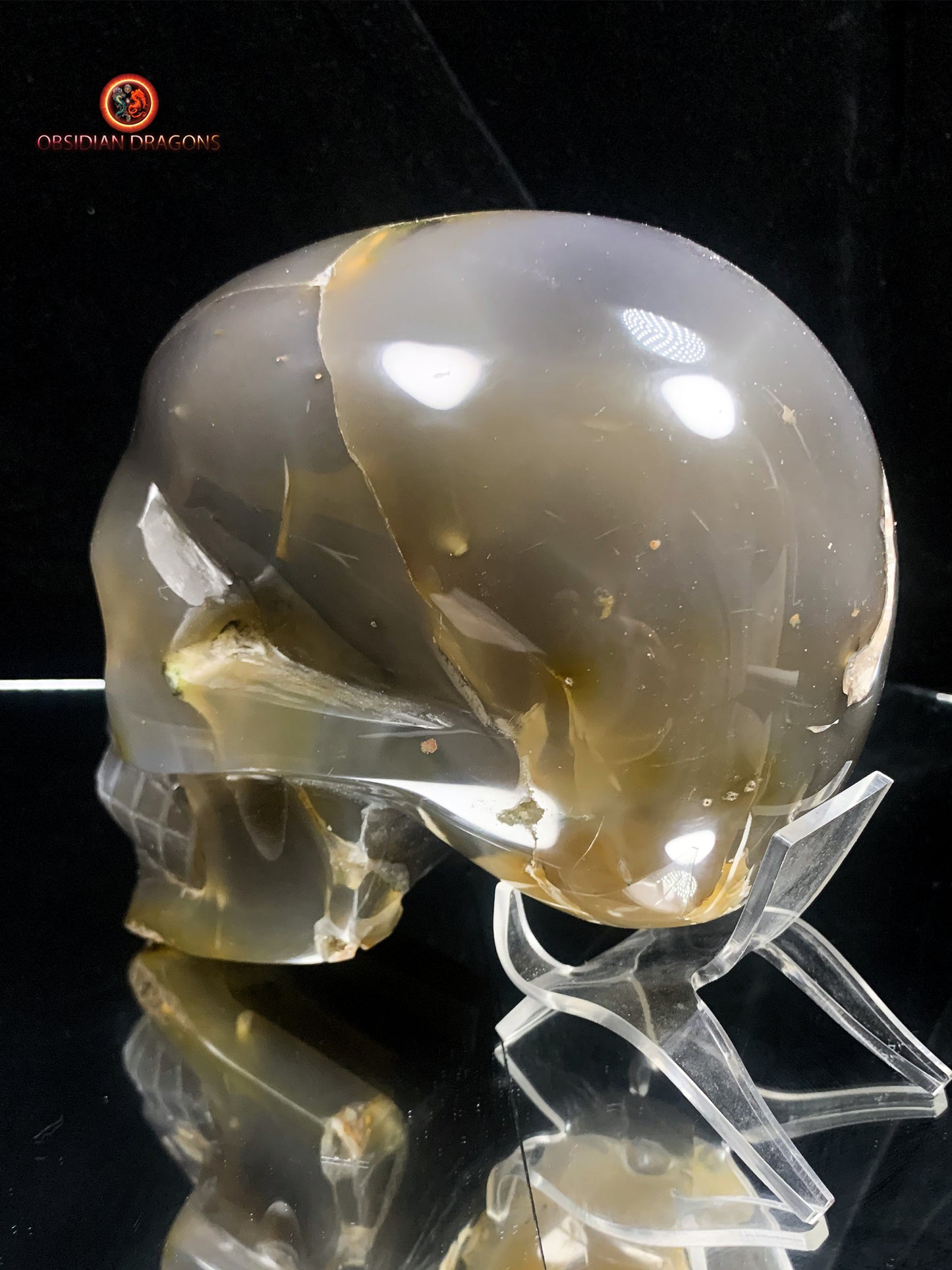 Grand crâne de cristal- Géode de quartz | obsidian dragons