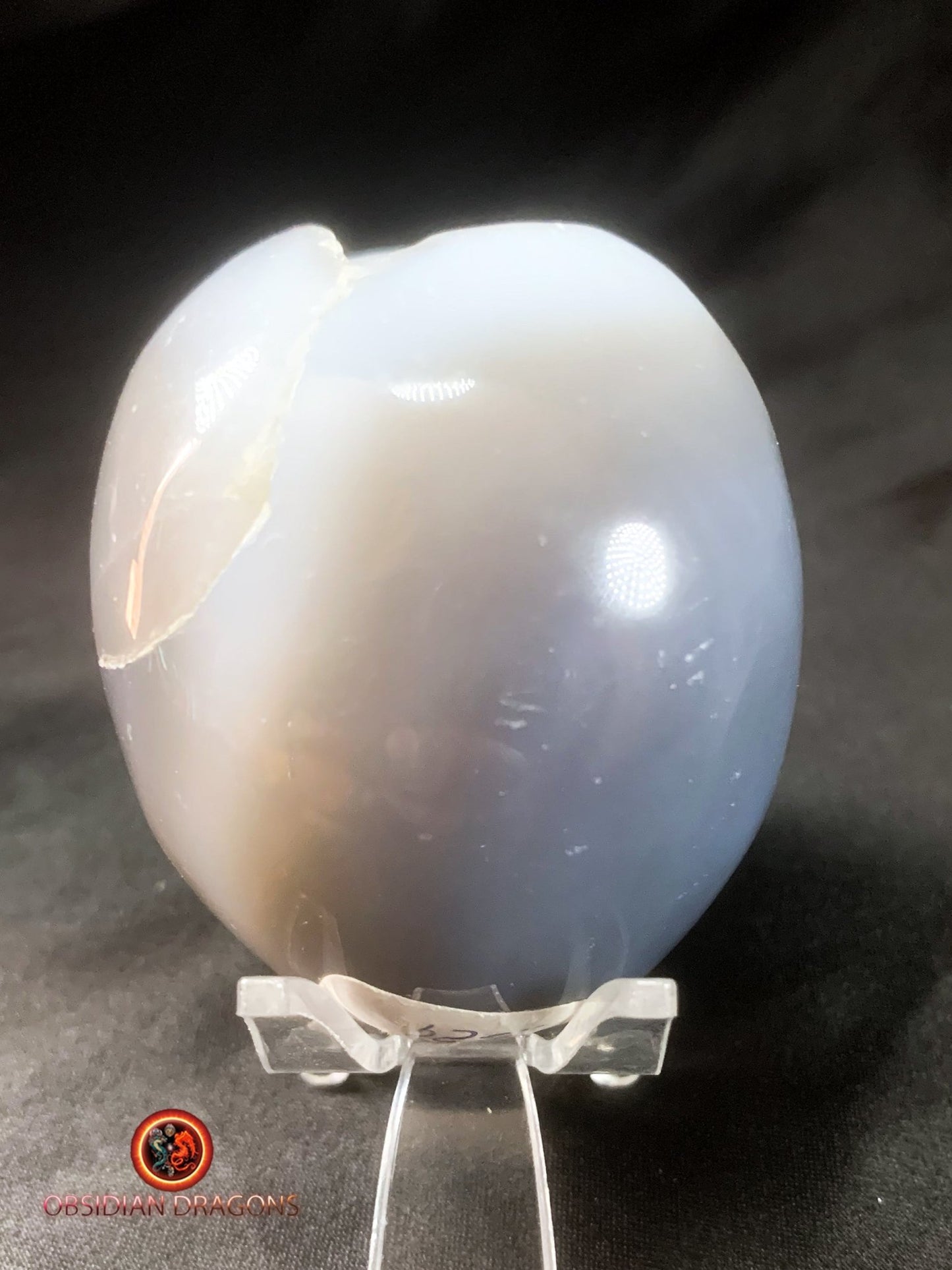 Crâne de cristal dans une géode de quartz- Unique | obsidian dragons