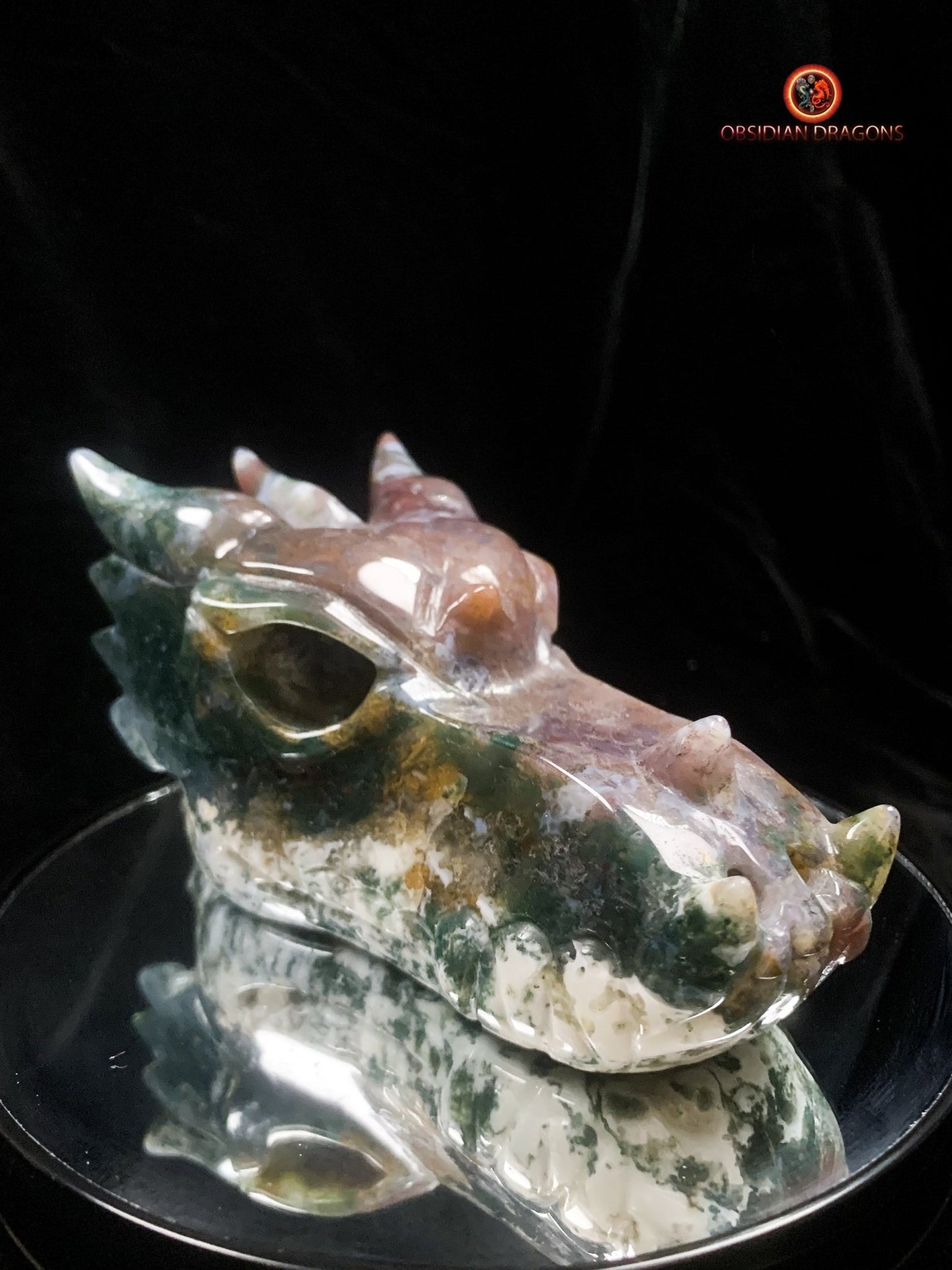 Grand crâne de dragon- Agate mousse d'indonésie | obsidian dragons