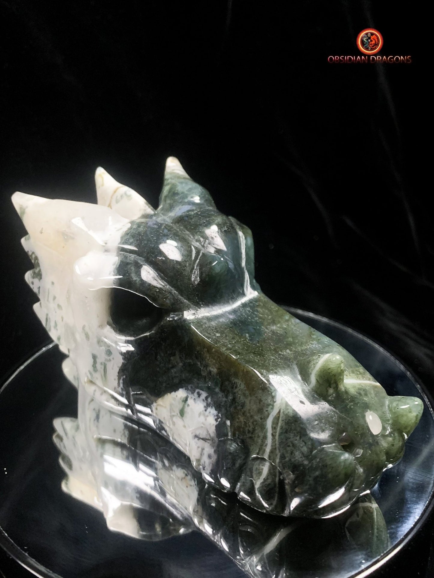 crâne de dragon massif- Agate mousse d'indonésie | obsidian dragons