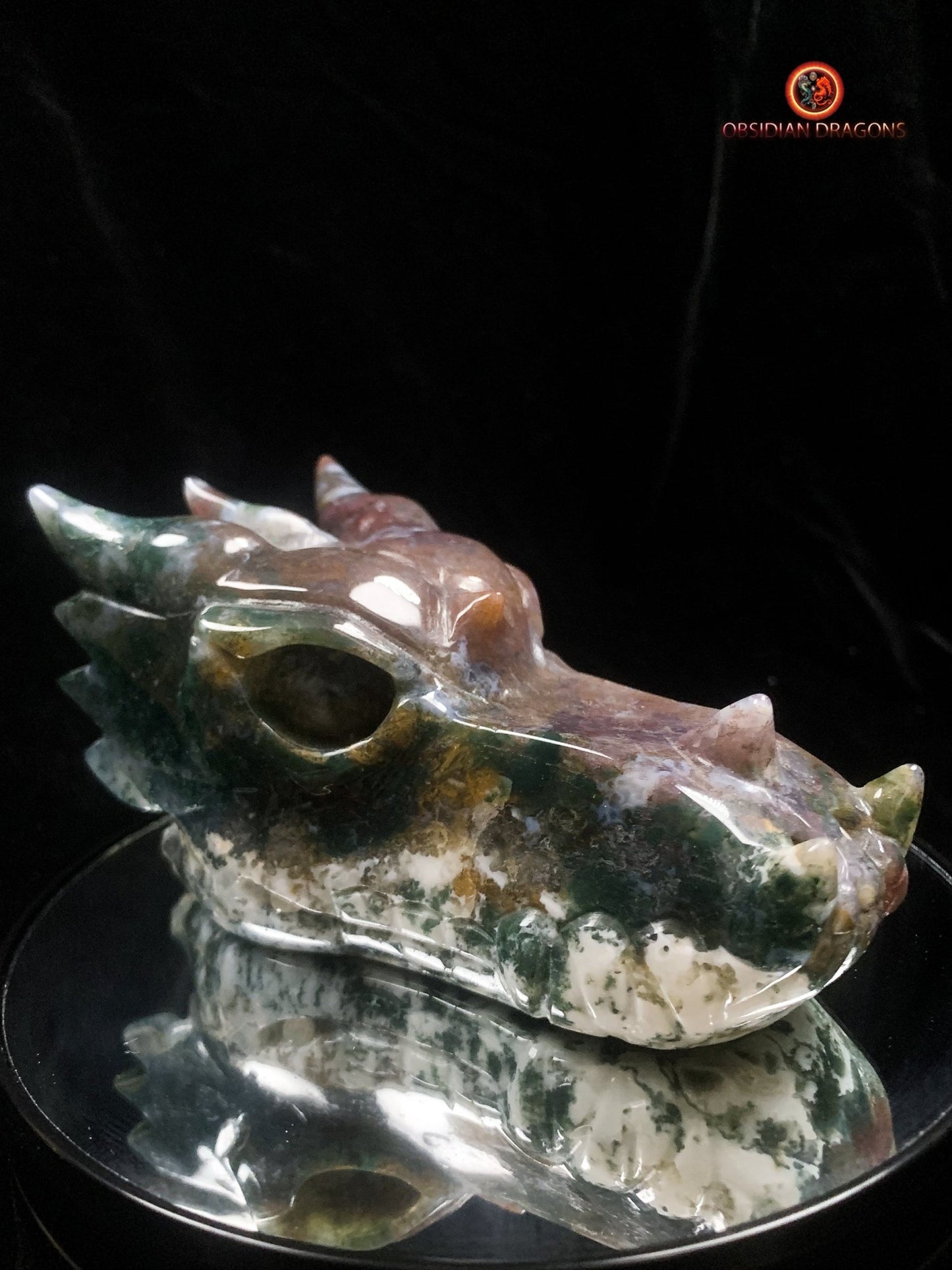 Grand crâne de dragon- Agate mousse d'indonésie | obsidian dragons