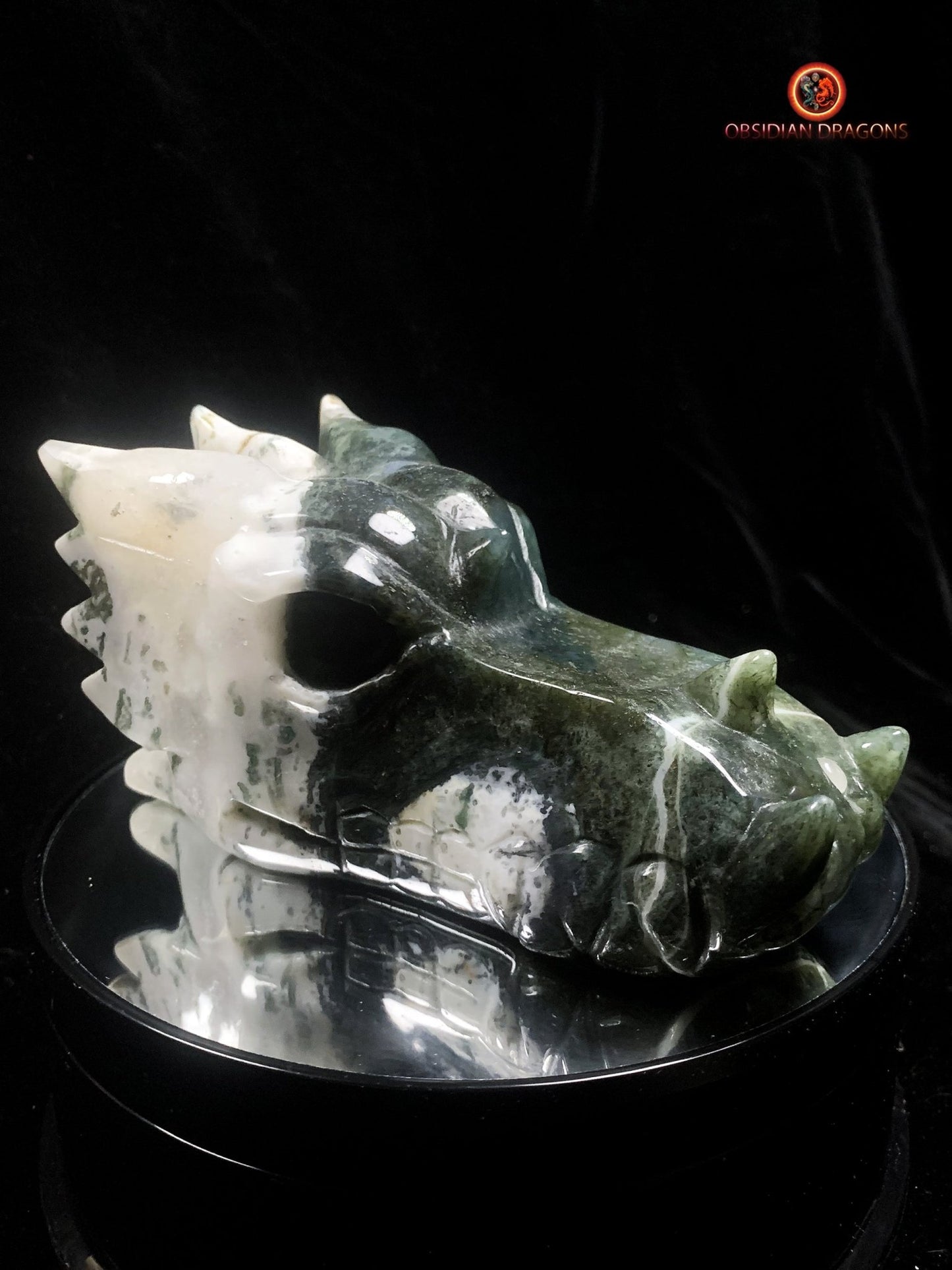 crâne de dragon massif- Agate mousse d'indonésie | obsidian dragons