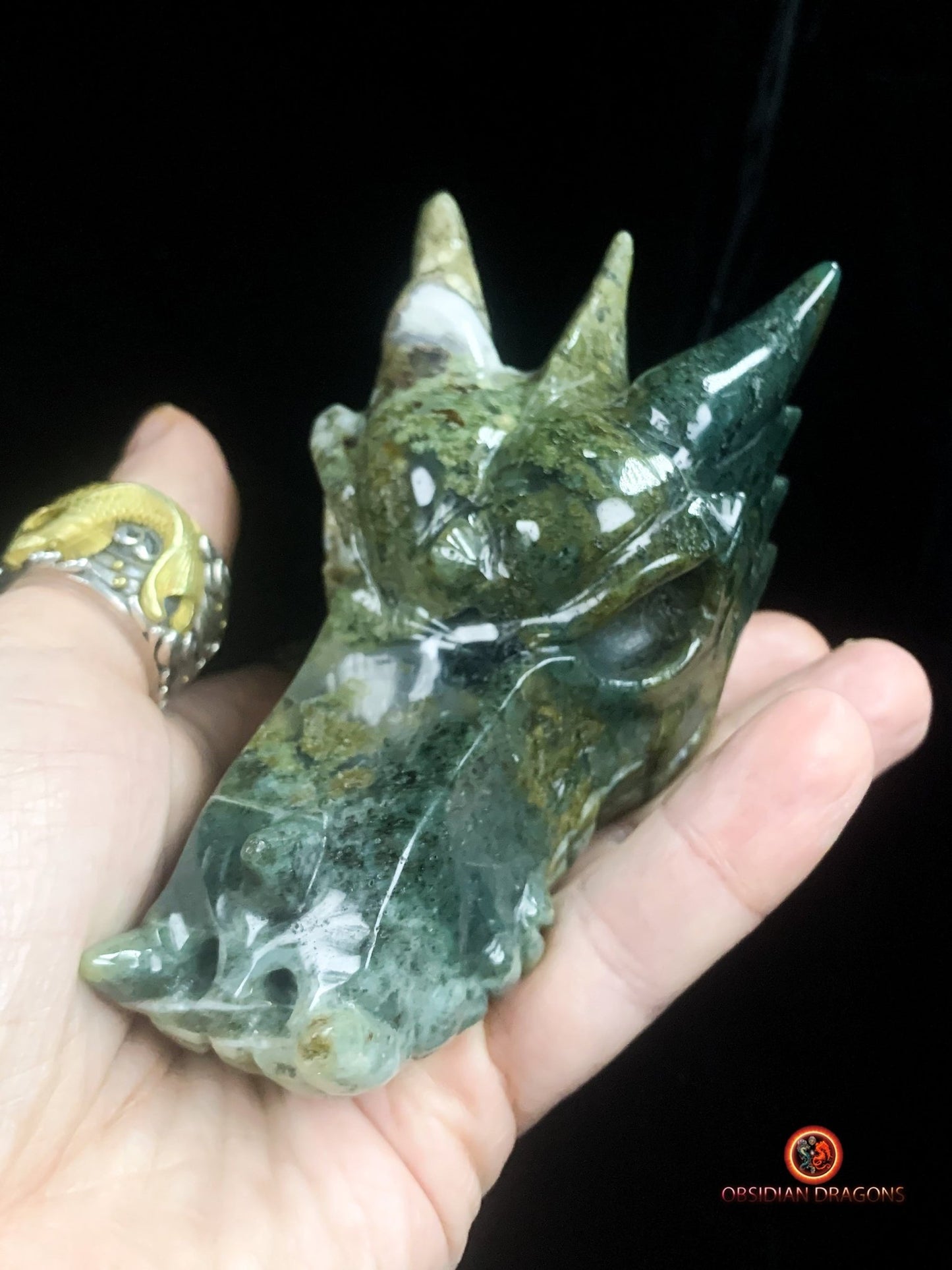 crâne de dragon- Agate mousse- Naturel | obsidian dragons