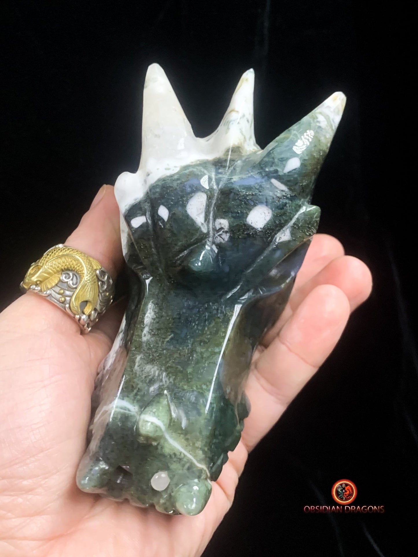 crâne de dragon massif- Agate mousse d'indonésie | obsidian dragons