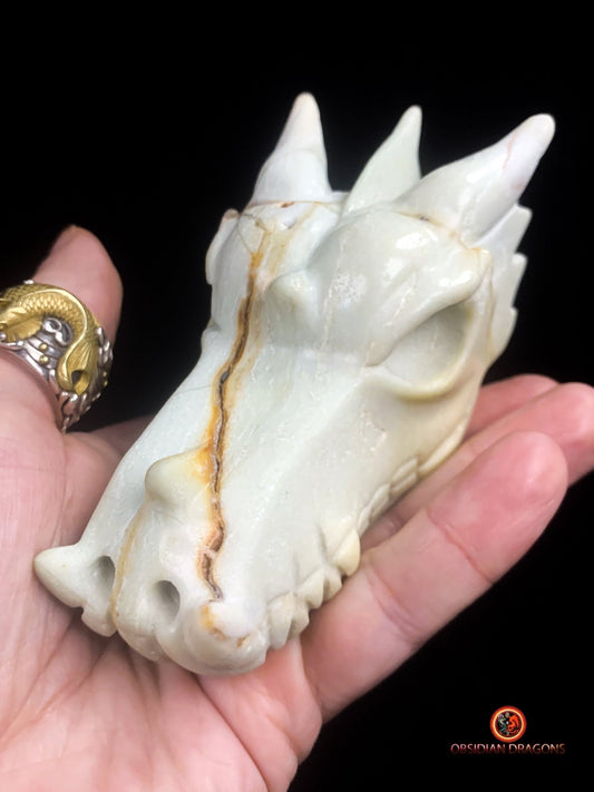 Crâne de dragon unique en aragonite- Méditation | obsidian dragons