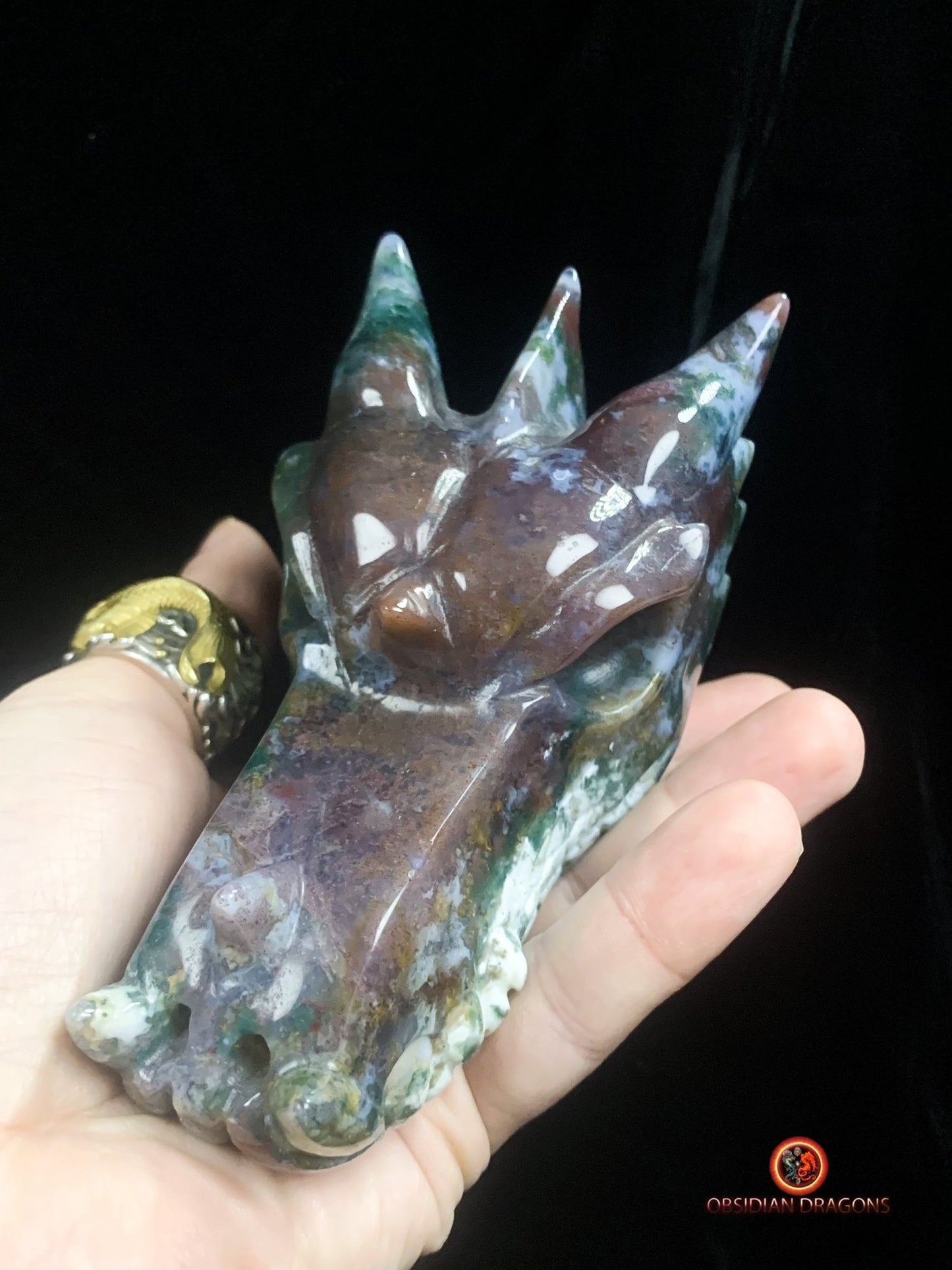 Grand crâne de dragon- Agate mousse d'indonésie | obsidian dragons