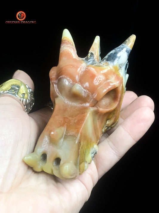 Crâne de dragon en aragonite- méditation draconique | obsidian dragons