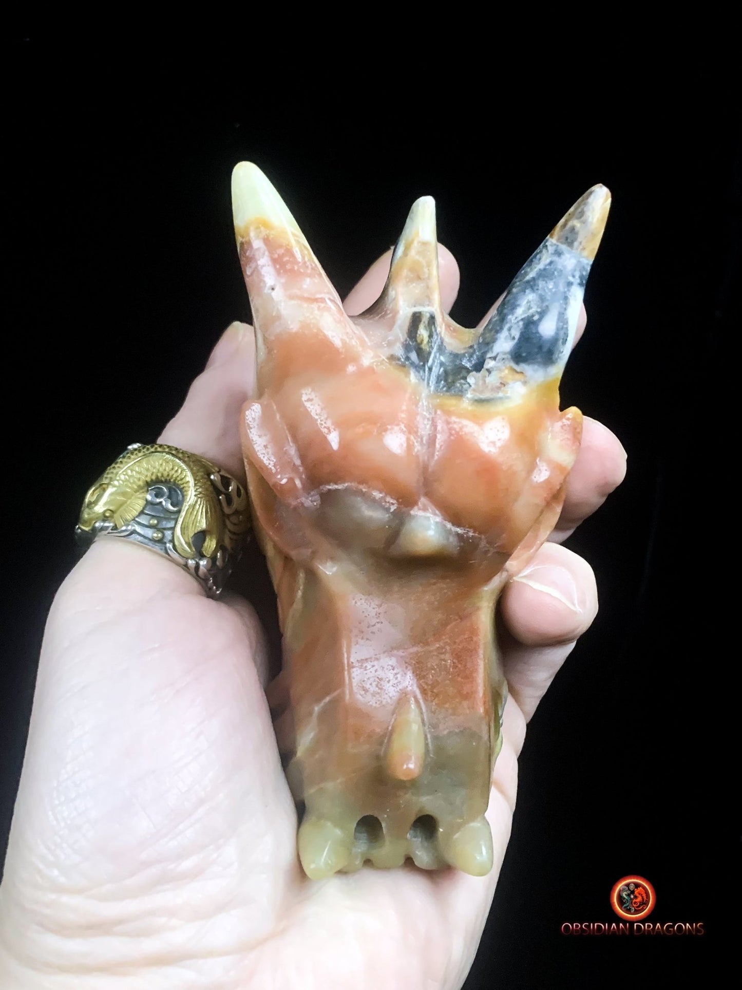 Crâne de dragon en aragonite- méditation draconique | obsidian dragons