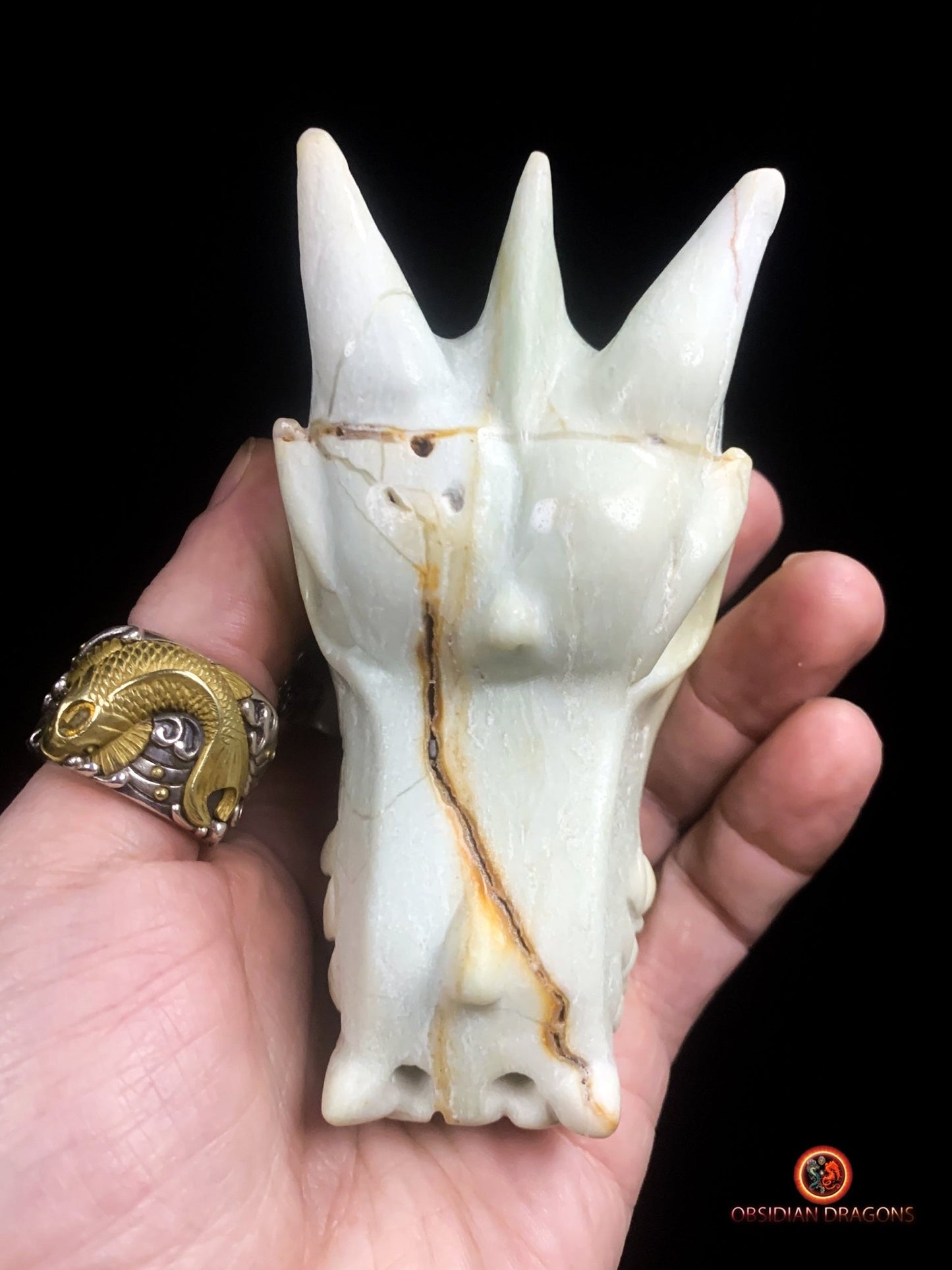 Crâne de dragon unique en aragonite- Méditation | obsidian dragons