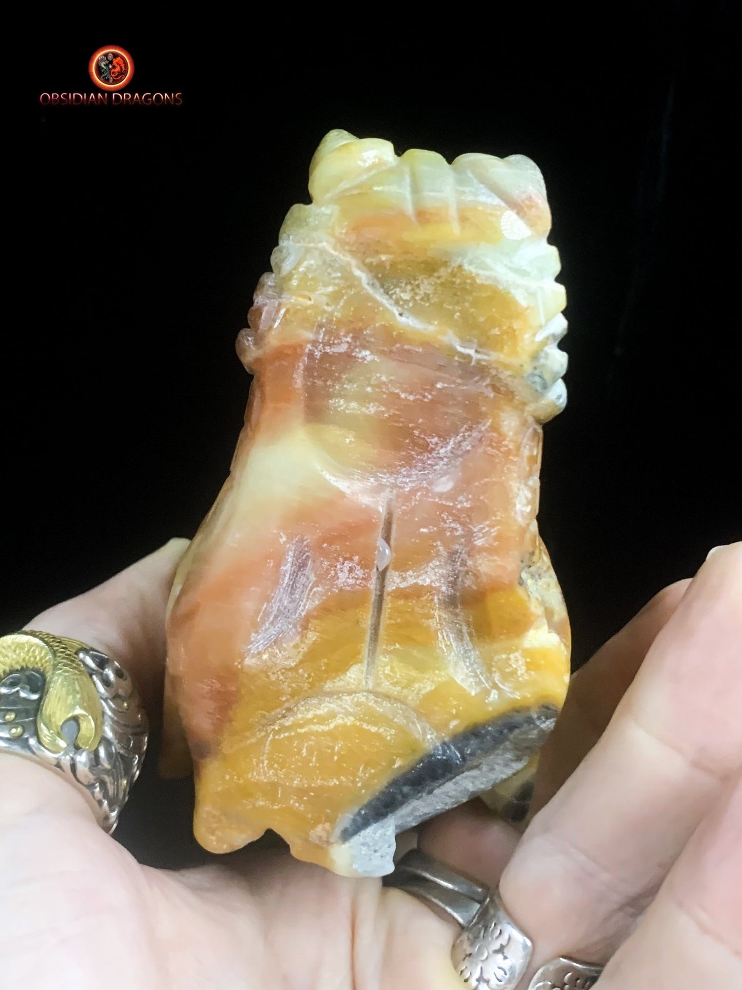 Crâne de dragon en aragonite- méditation draconique | obsidian dragons