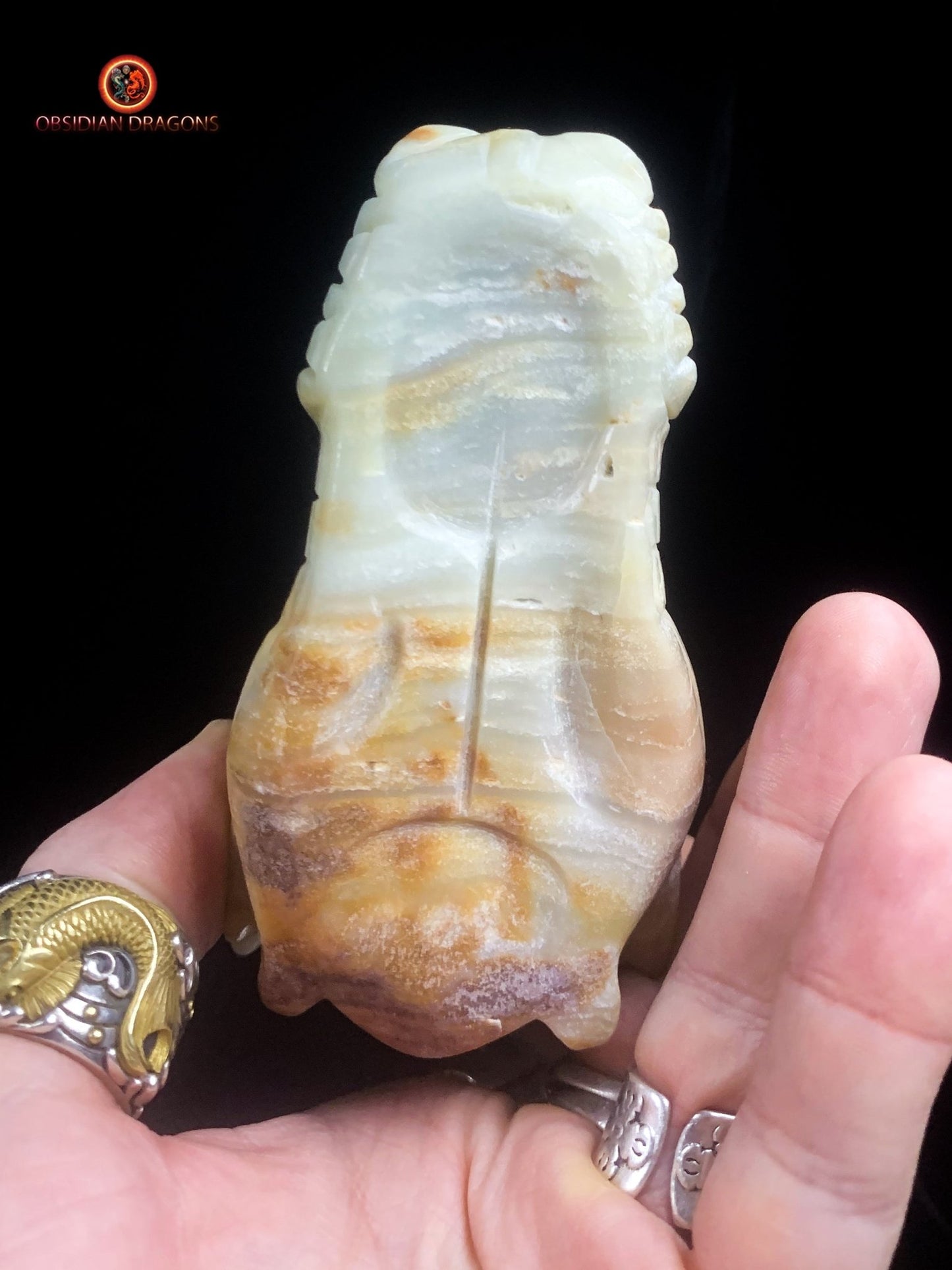 Crâne de dragon artisanal en aragonite- Méditation | obsidian dragons