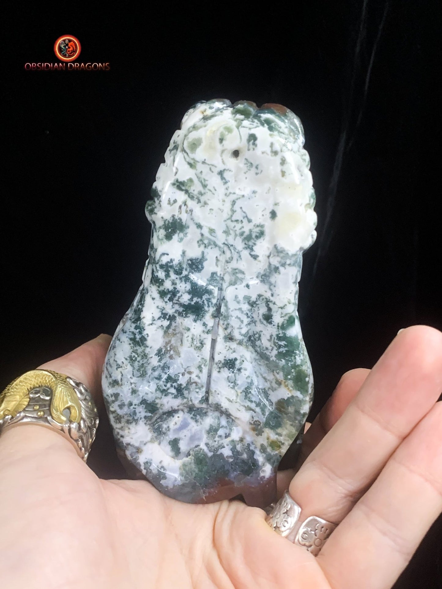Grand crâne de dragon- Agate mousse d'indonésie | obsidian dragons