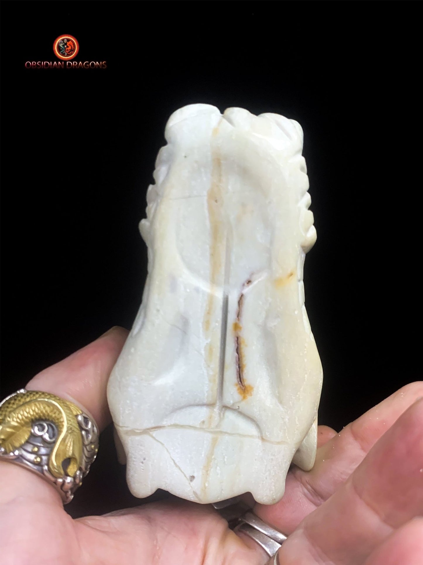 Crâne de dragon unique en aragonite- Méditation | obsidian dragons