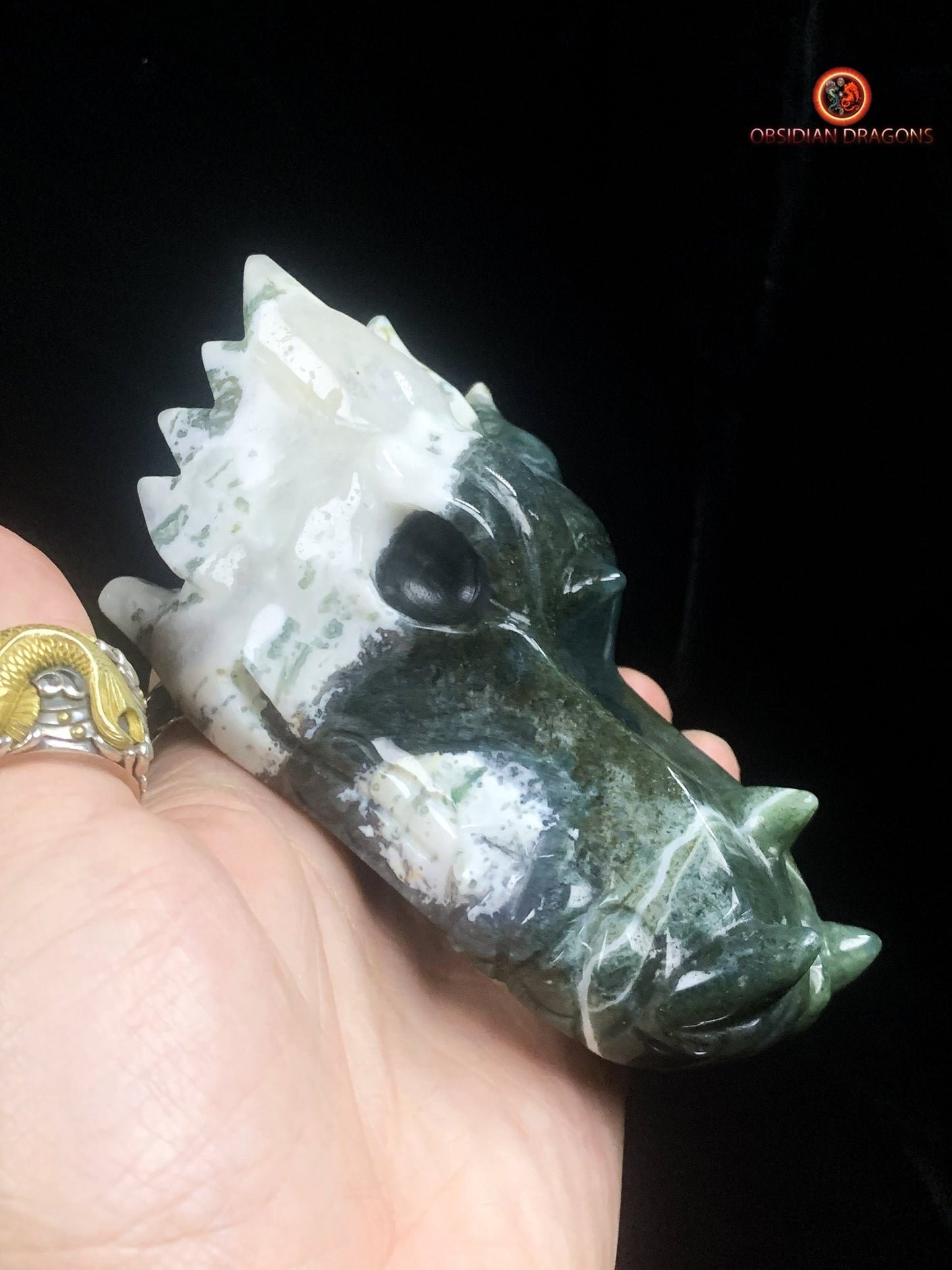 crâne de dragon massif- Agate mousse d'indonésie | obsidian dragons