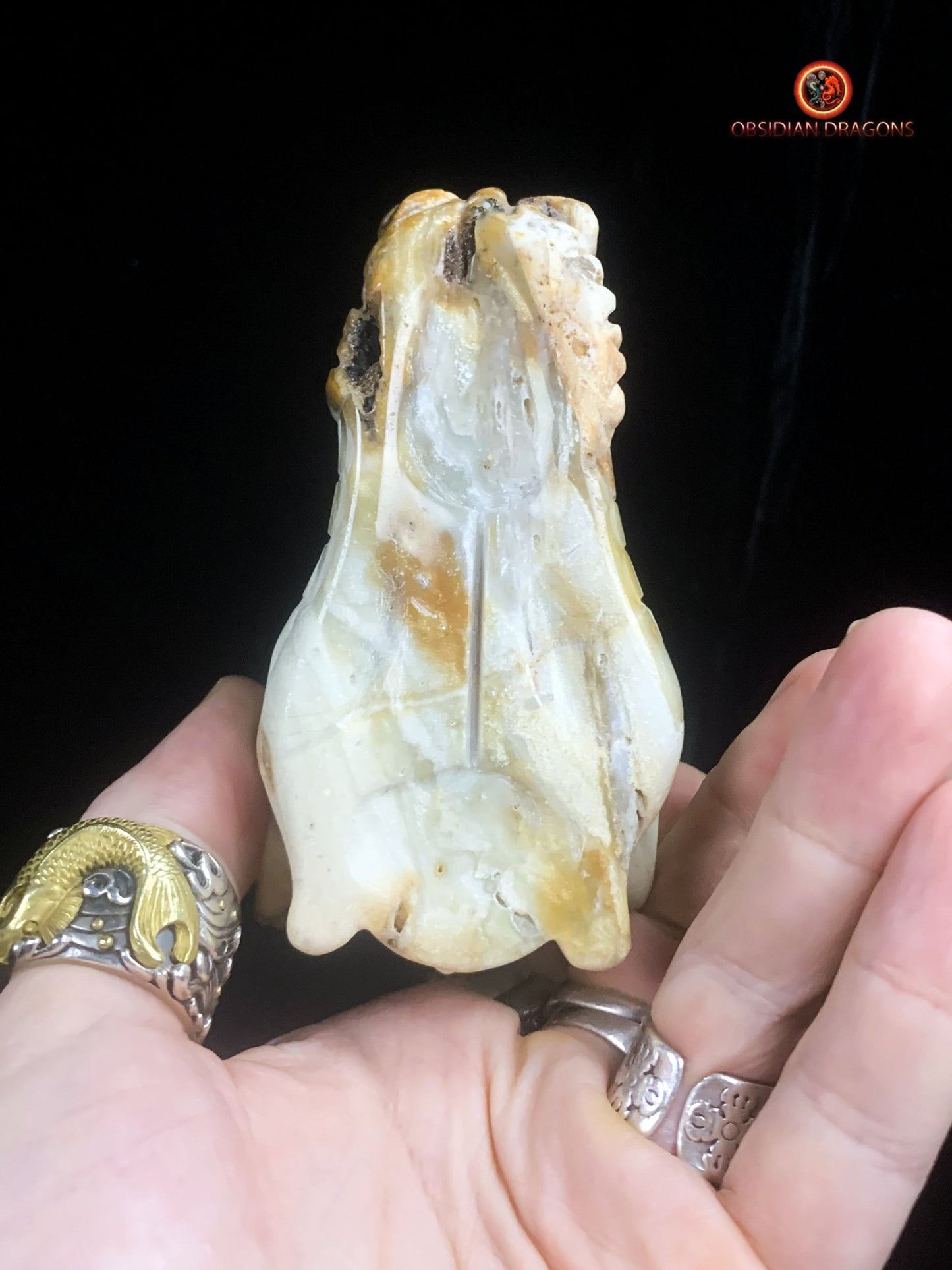 Crâne de dragon pour méditation- Aragonite | obsidian dragons