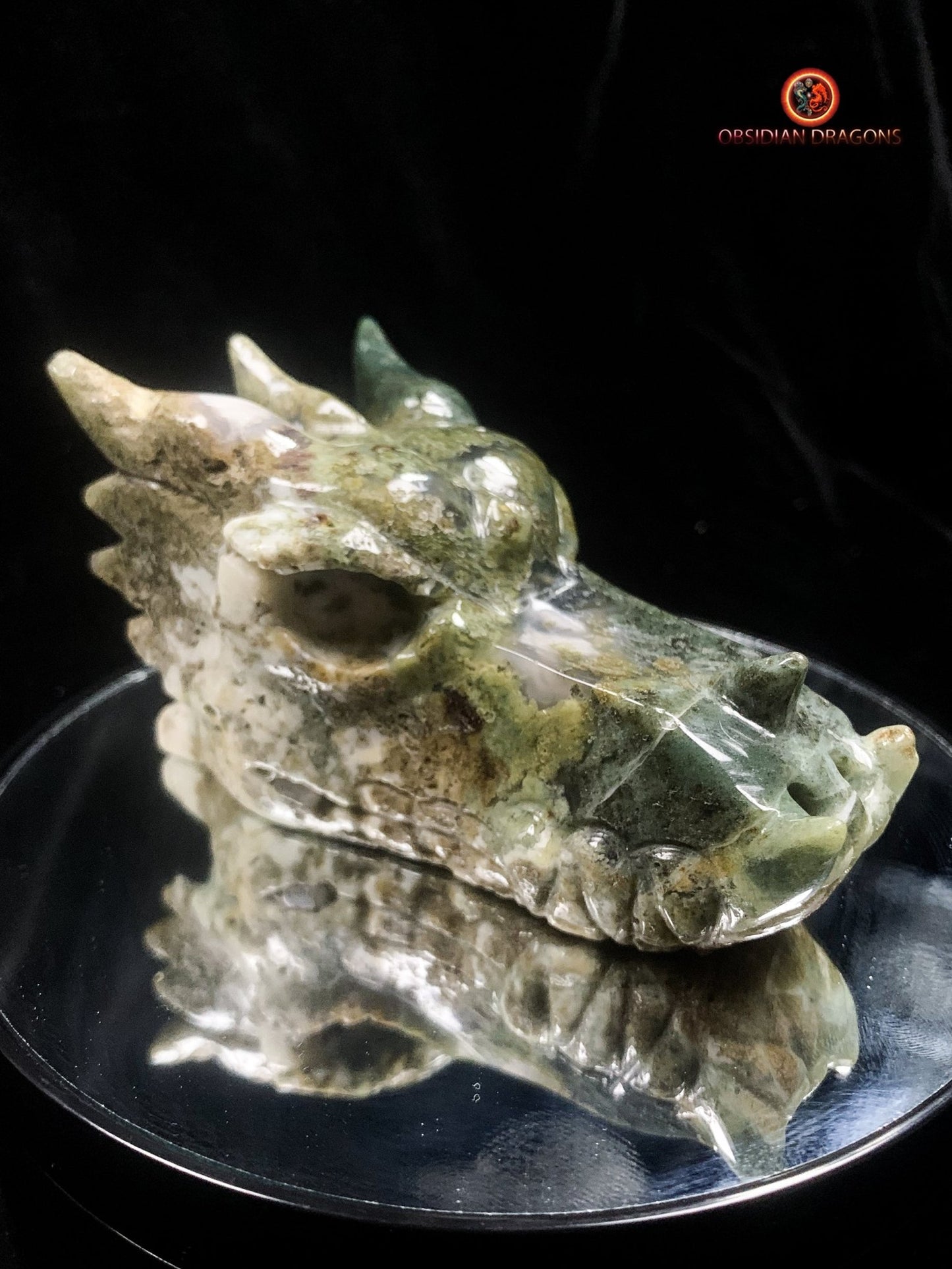 crâne de dragon- Agate mousse- Naturel | obsidian dragons