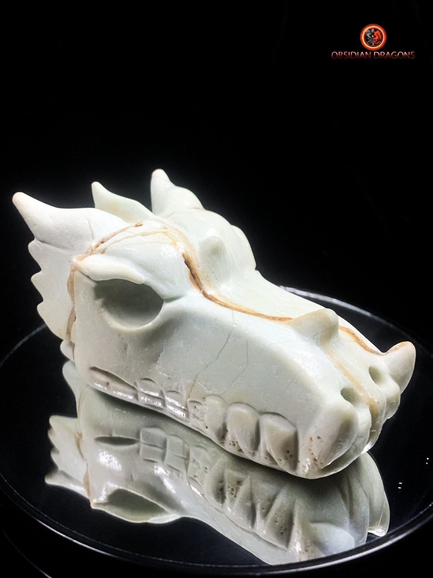 Crâne de dragon unique en aragonite- Méditation | obsidian dragons