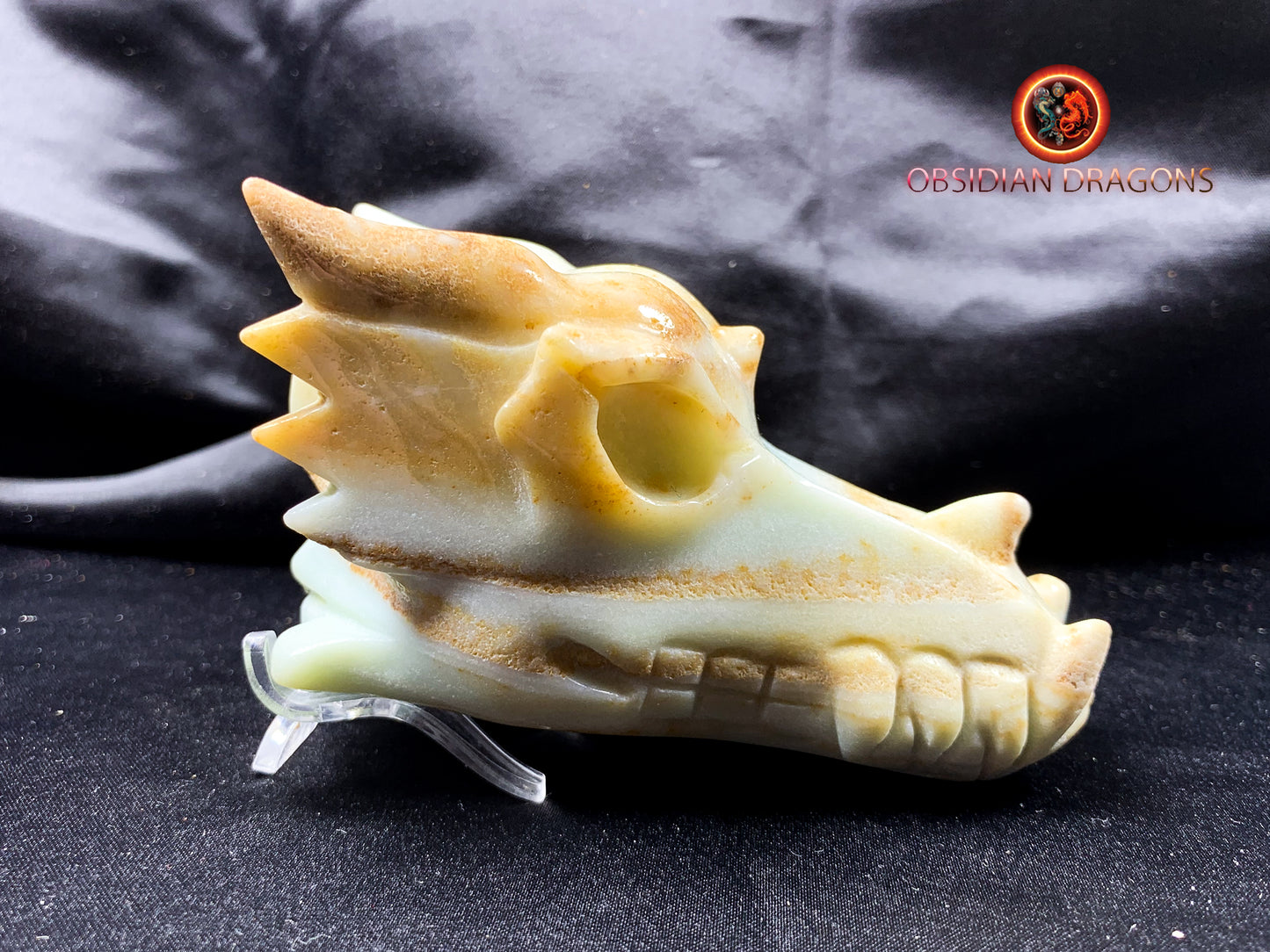 Crâne de dragon, tête de dragon, crâne de cristal, dragon skull