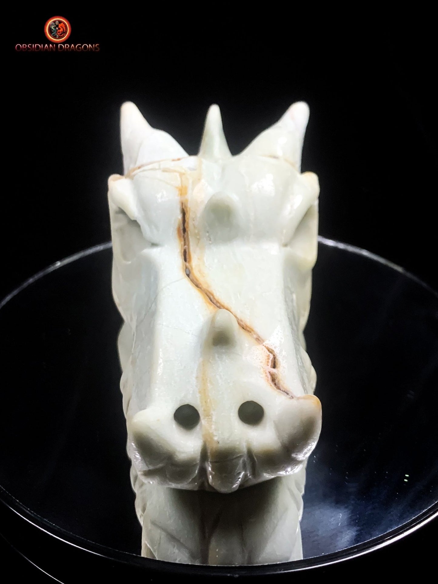 Crâne de dragon unique en aragonite- Méditation | obsidian dragons