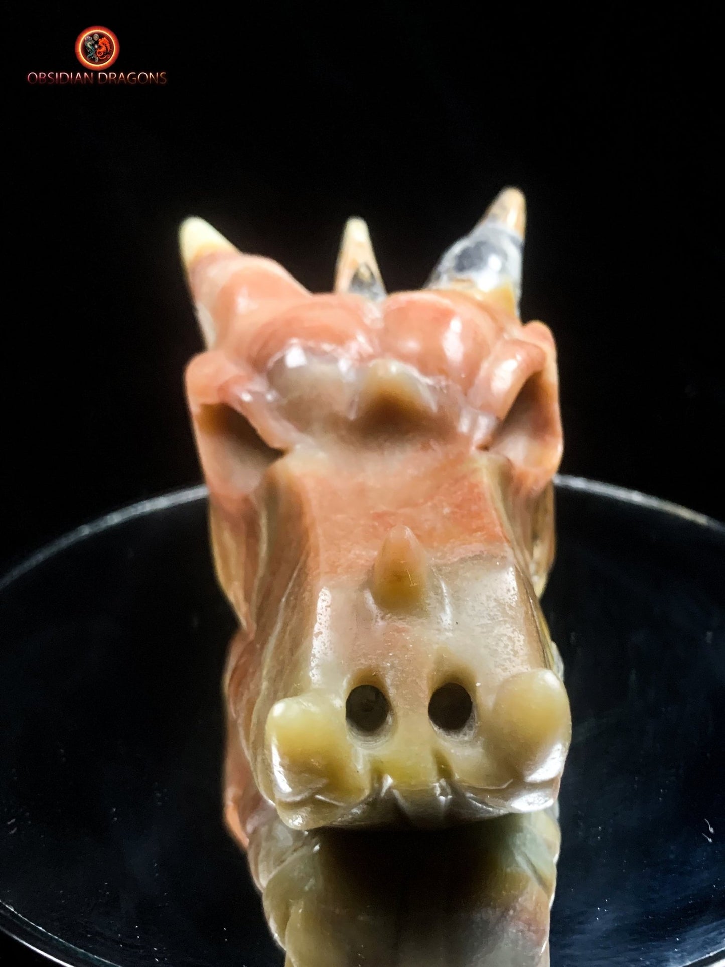 Crâne de dragon en aragonite- méditation draconique | obsidian dragons