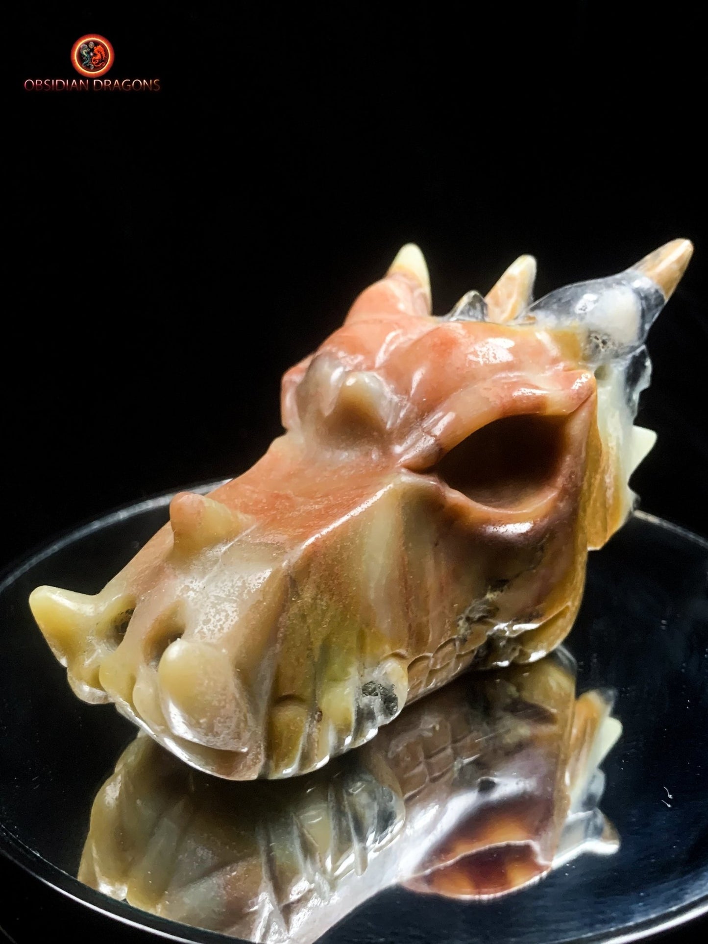 Crâne de dragon en aragonite- méditation draconique | obsidian dragons