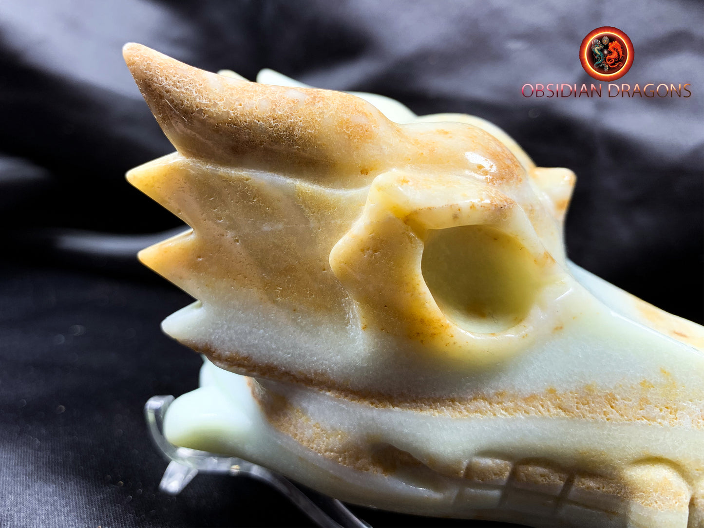 Crâne de dragon, tête de dragon, crâne de cristal, dragon skull