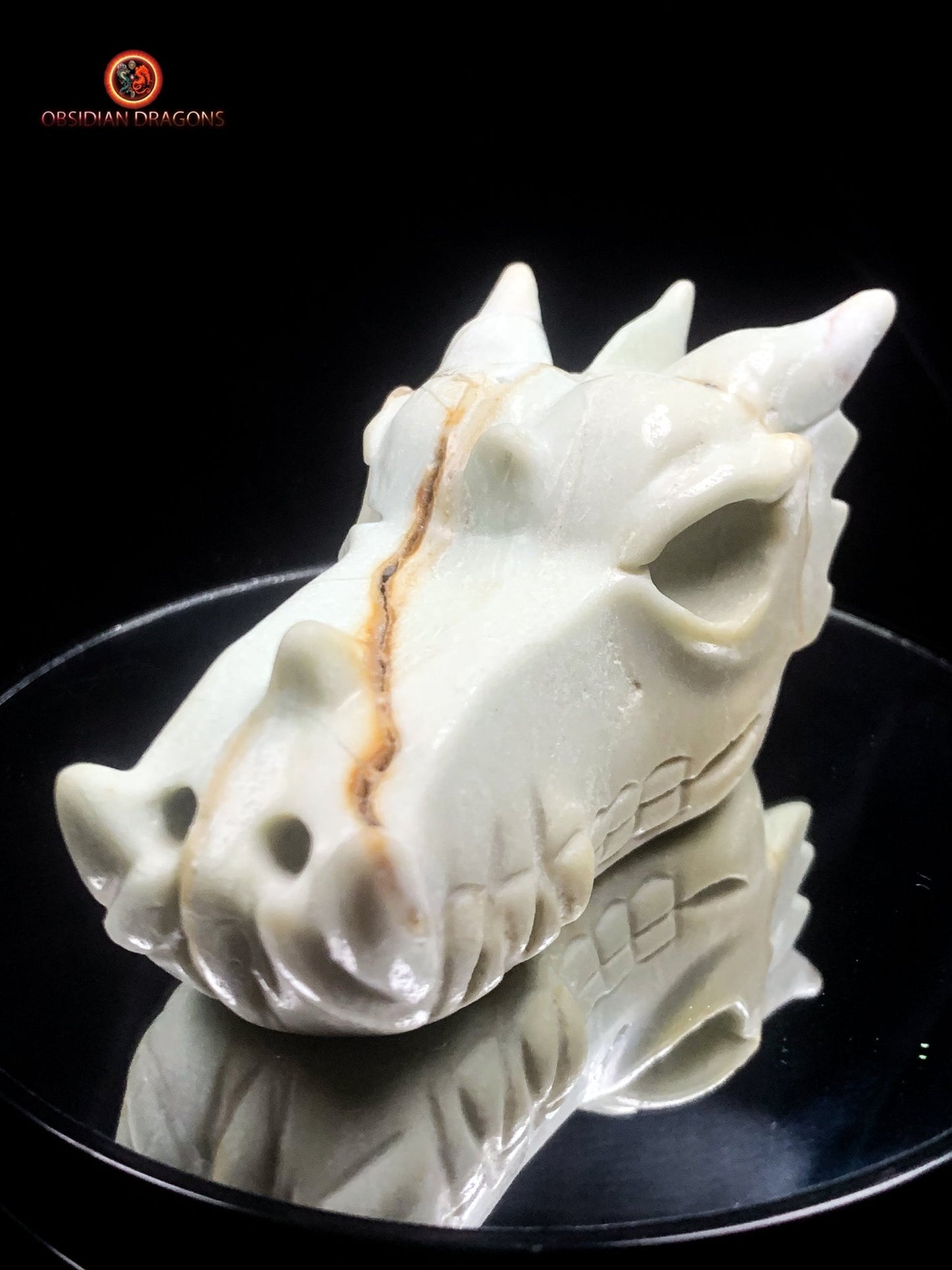 Crâne de dragon unique en aragonite- Méditation | obsidian dragons