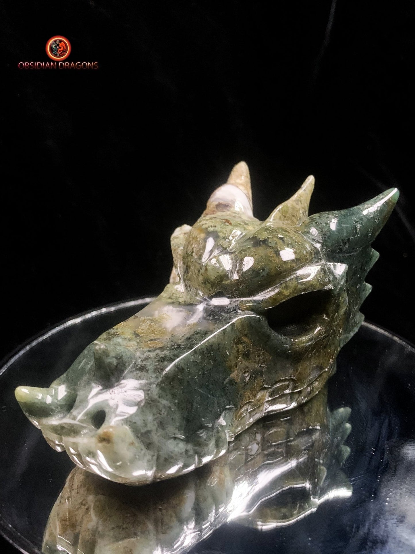crâne de dragon- Agate mousse- Naturel | obsidian dragons