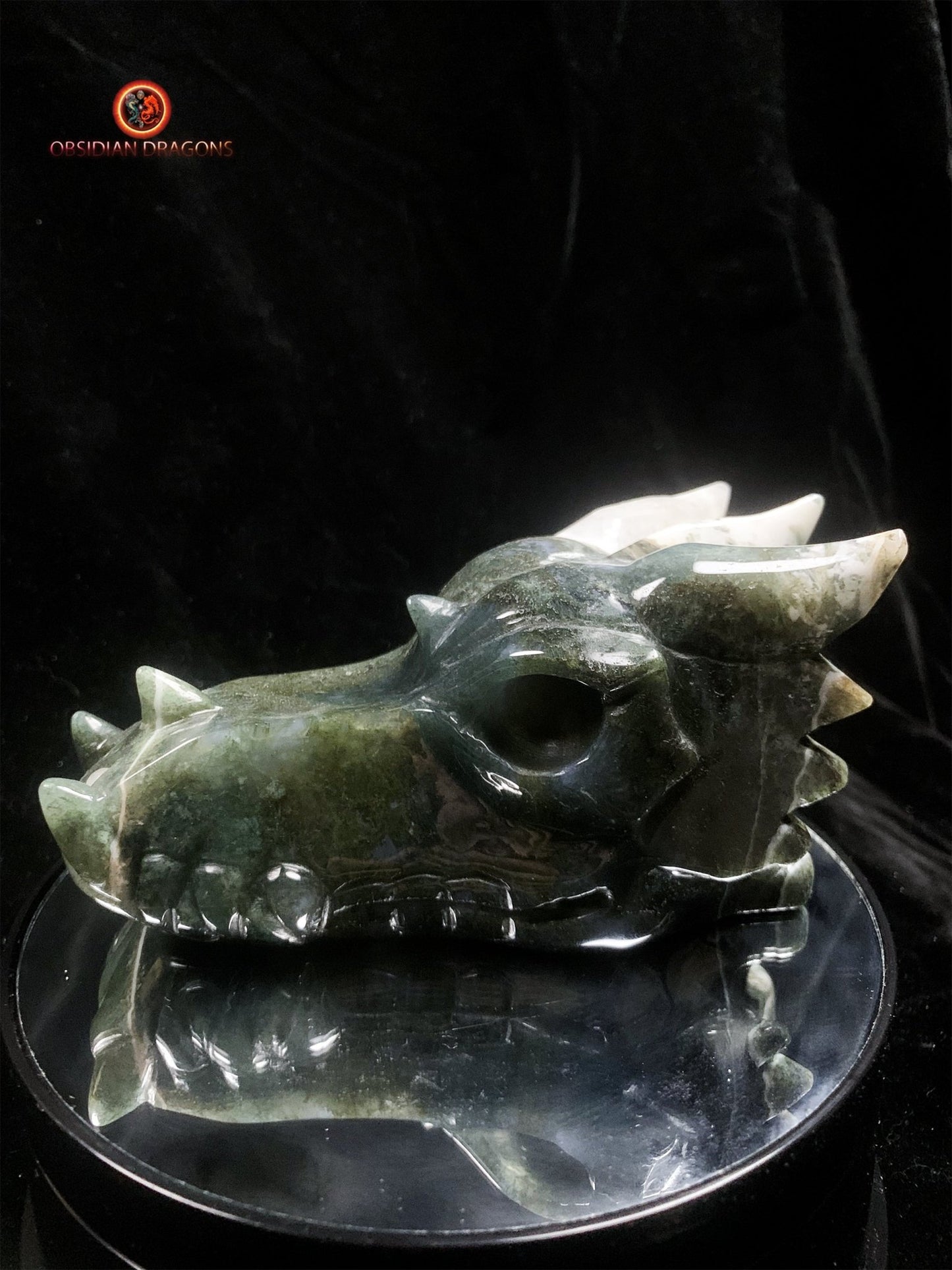 crâne de dragon massif- Agate mousse d'indonésie | obsidian dragons