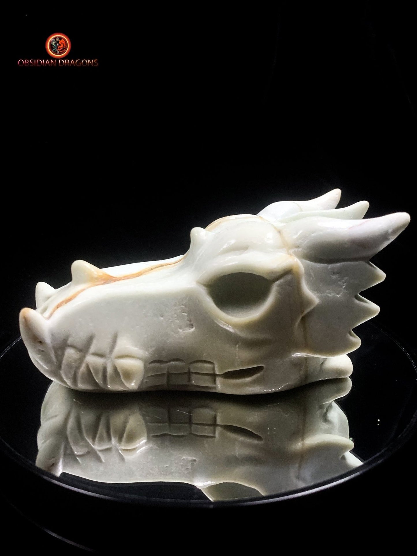 Crâne de dragon unique en aragonite- Méditation | obsidian dragons