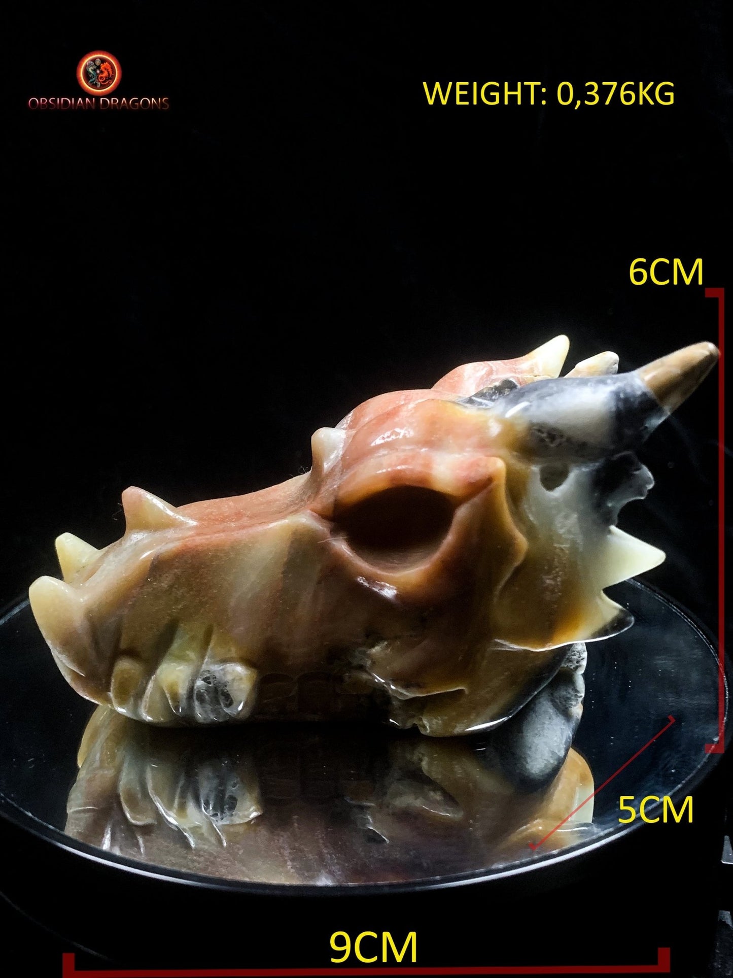 Crâne de dragon en aragonite- méditation draconique | obsidian dragons