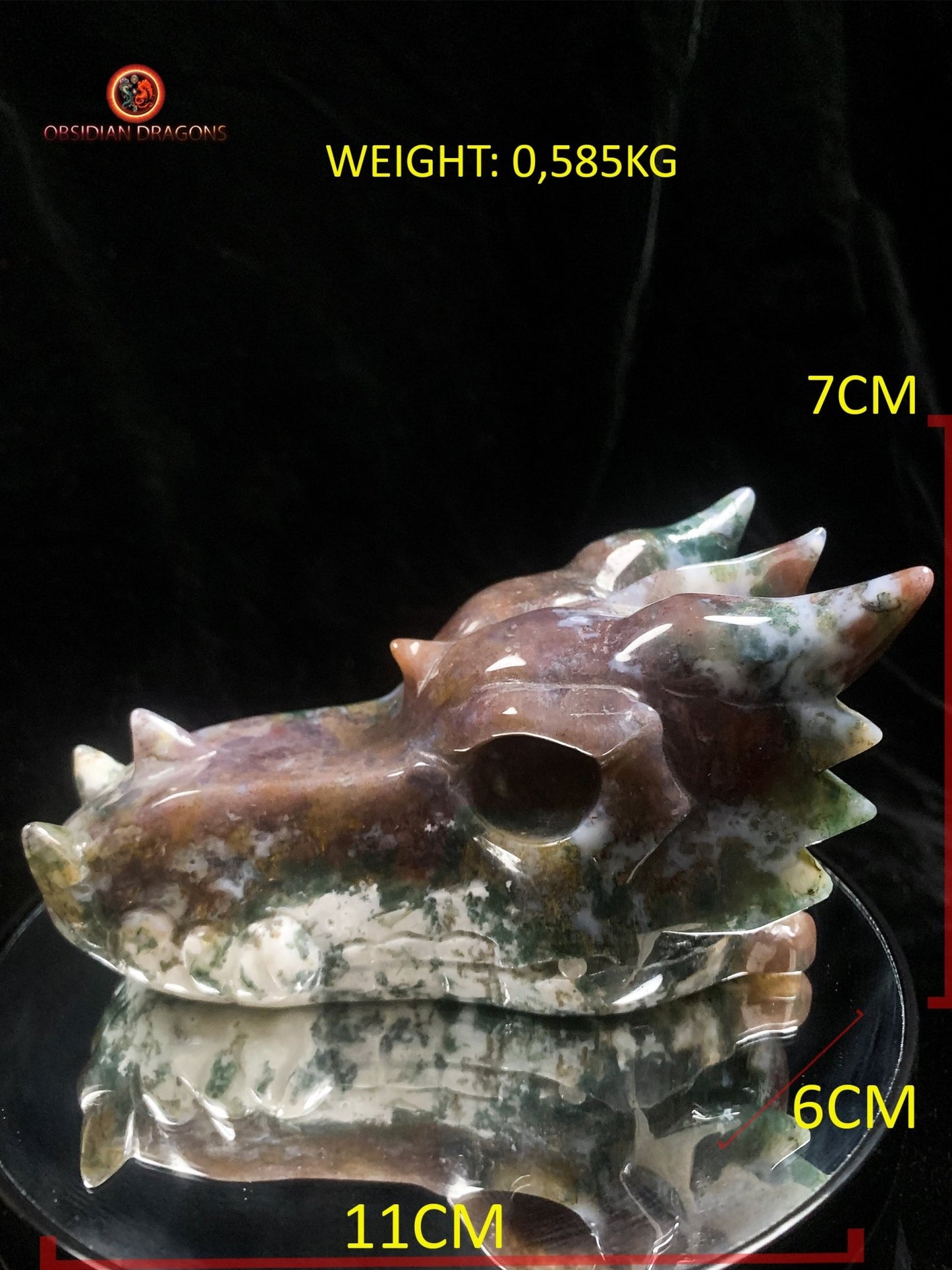 Grand crâne de dragon- Agate mousse d'indonésie | obsidian dragons