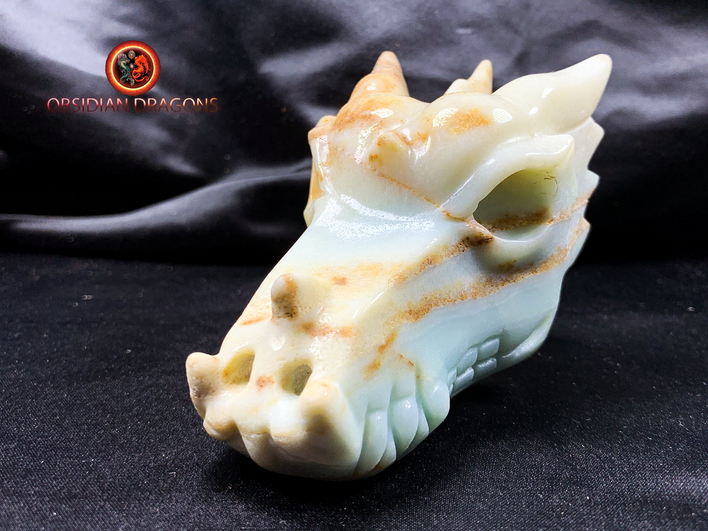 Crâne de dragon, tête de dragon, crâne de cristal, dragon skull