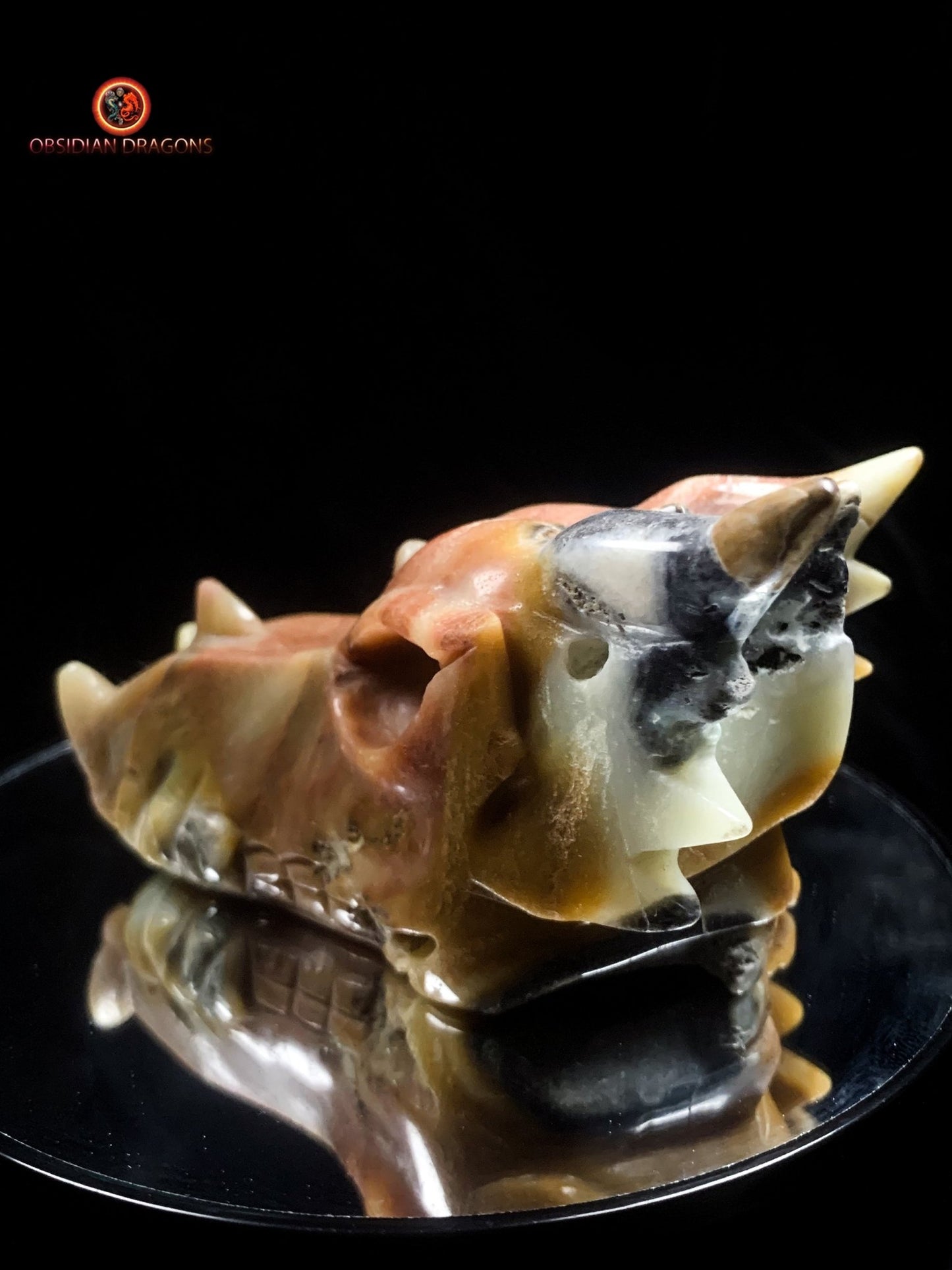 Crâne de dragon en aragonite- méditation draconique | obsidian dragons