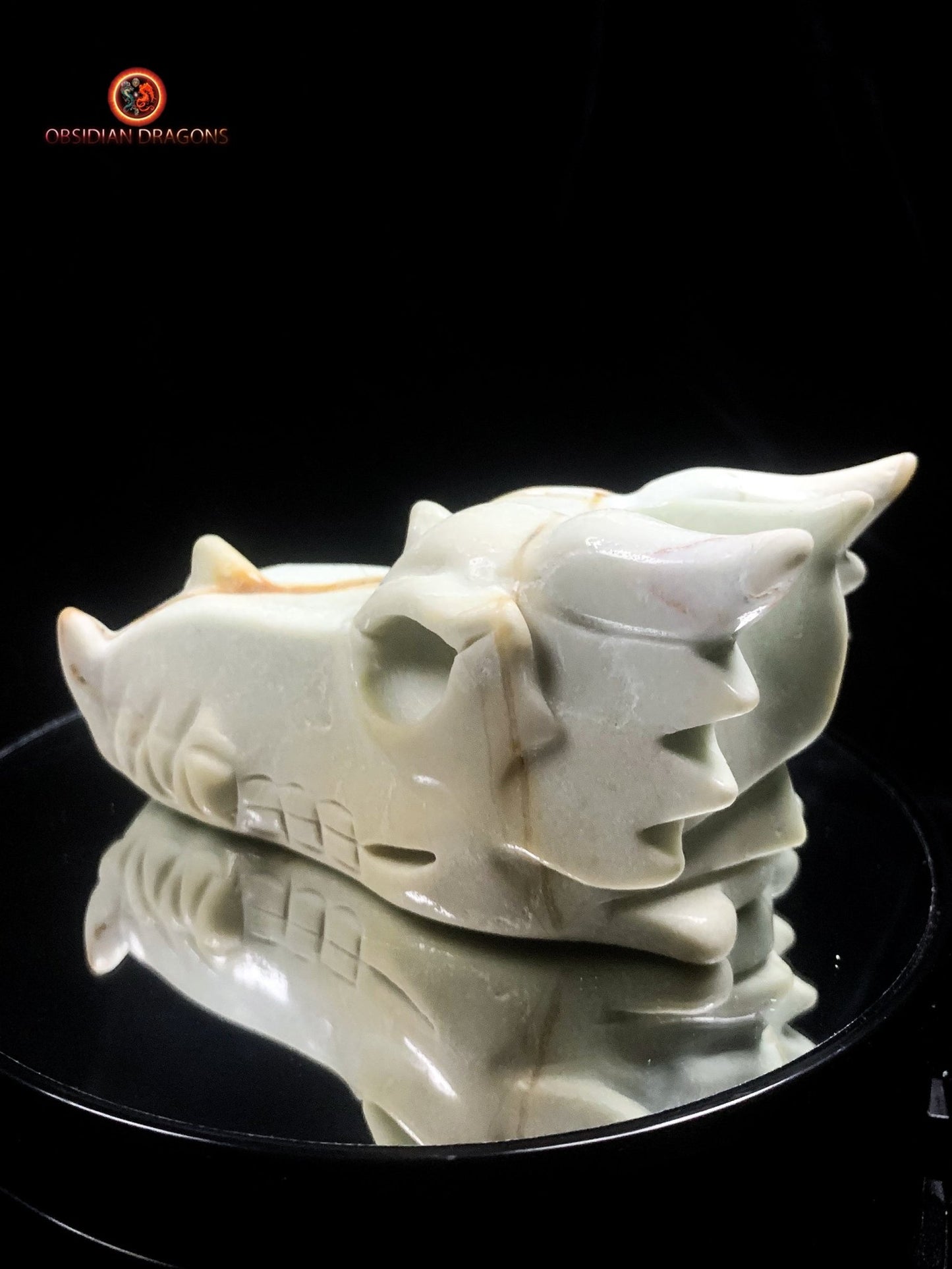 Crâne de dragon unique en aragonite- Méditation | obsidian dragons
