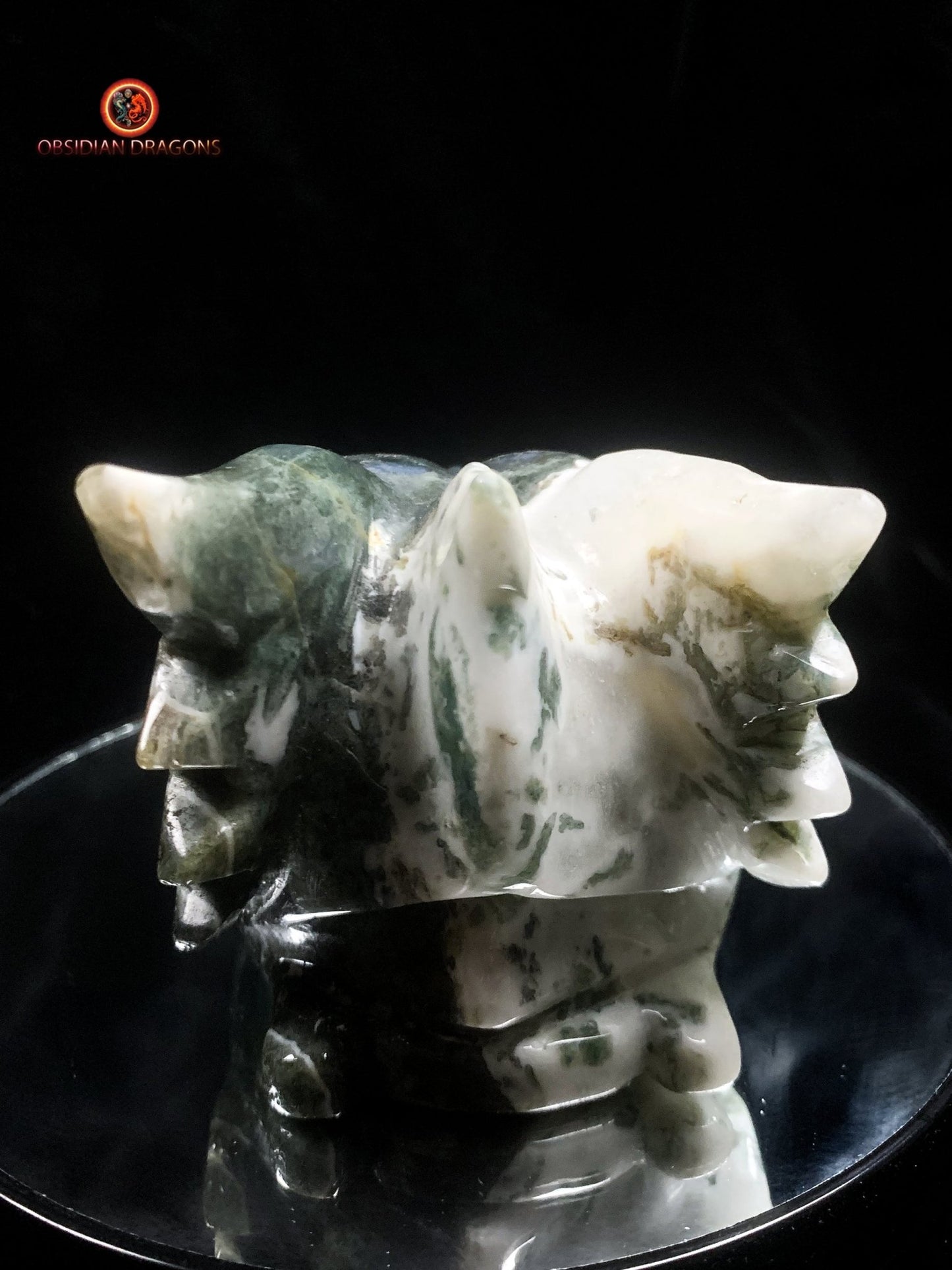 crâne de dragon massif- Agate mousse d'indonésie | obsidian dragons