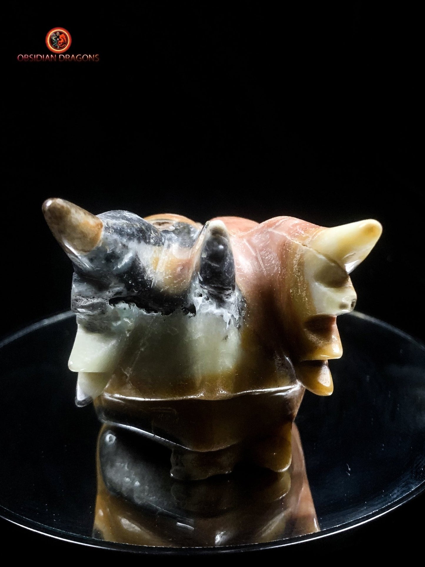 Crâne de dragon en aragonite- méditation draconique | obsidian dragons