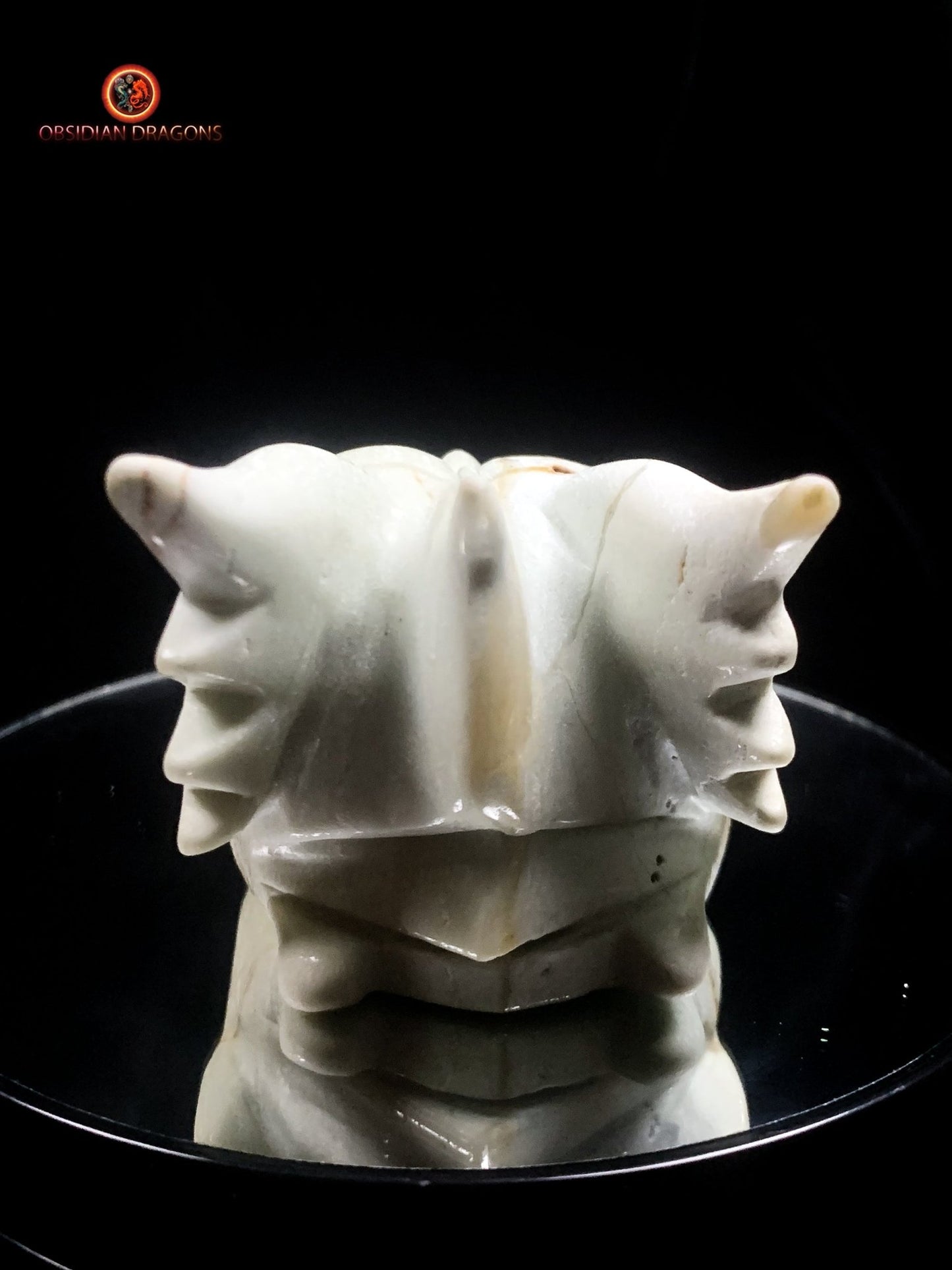 Crâne de dragon unique en aragonite- Méditation | obsidian dragons