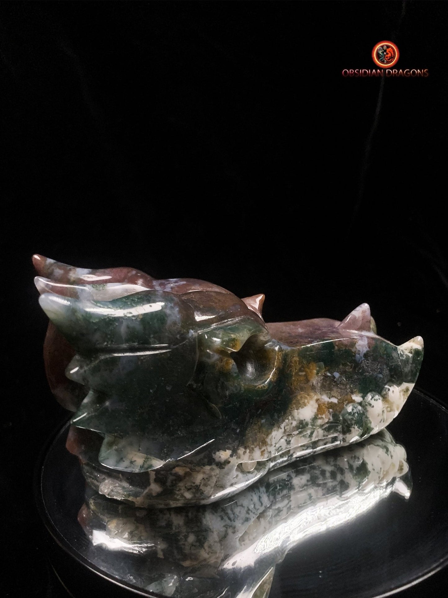 Grand crâne de dragon- Agate mousse d'indonésie | obsidian dragons