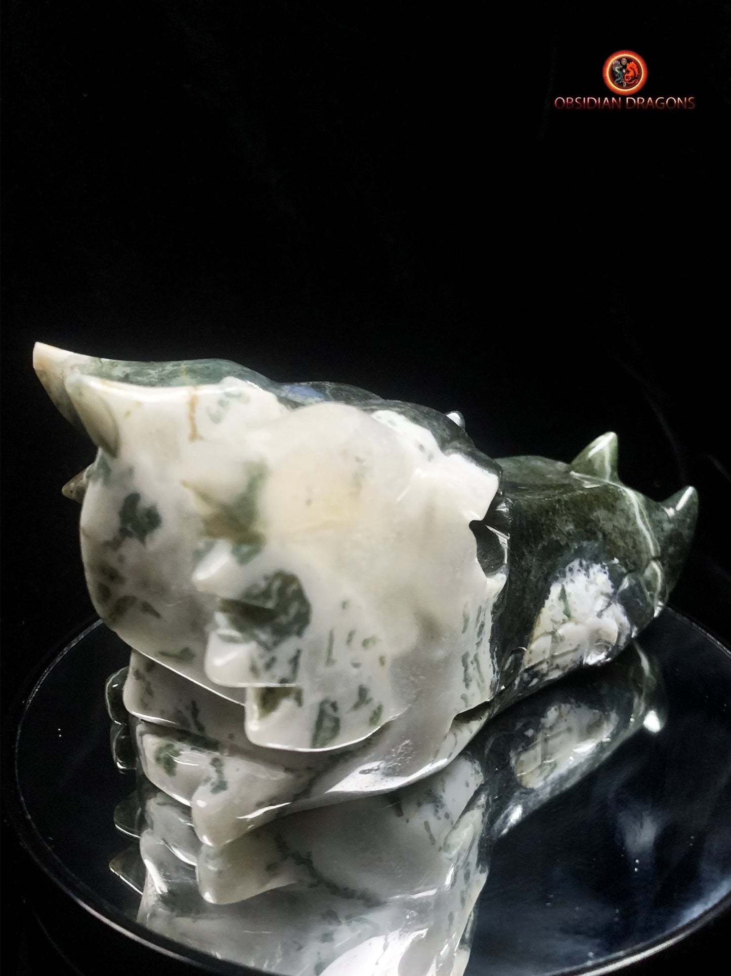 crâne de dragon massif- Agate mousse d'indonésie | obsidian dragons