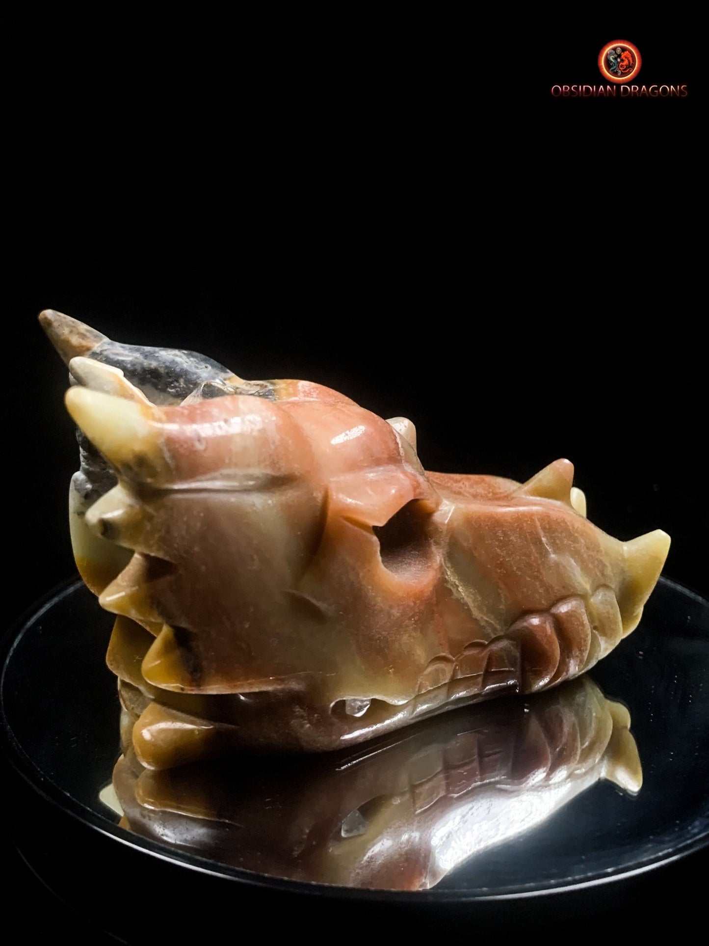 Crâne de dragon en aragonite- méditation draconique | obsidian dragons