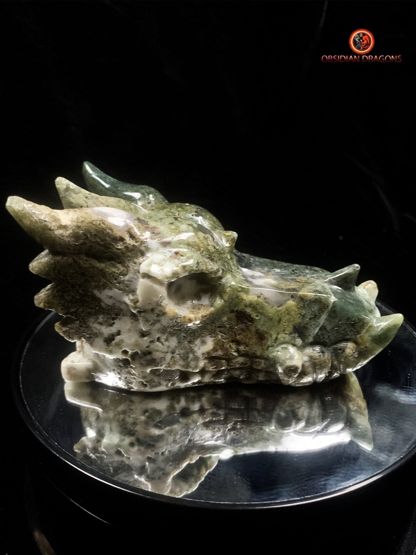 crâne de dragon- Agate mousse- Naturel | obsidian dragons