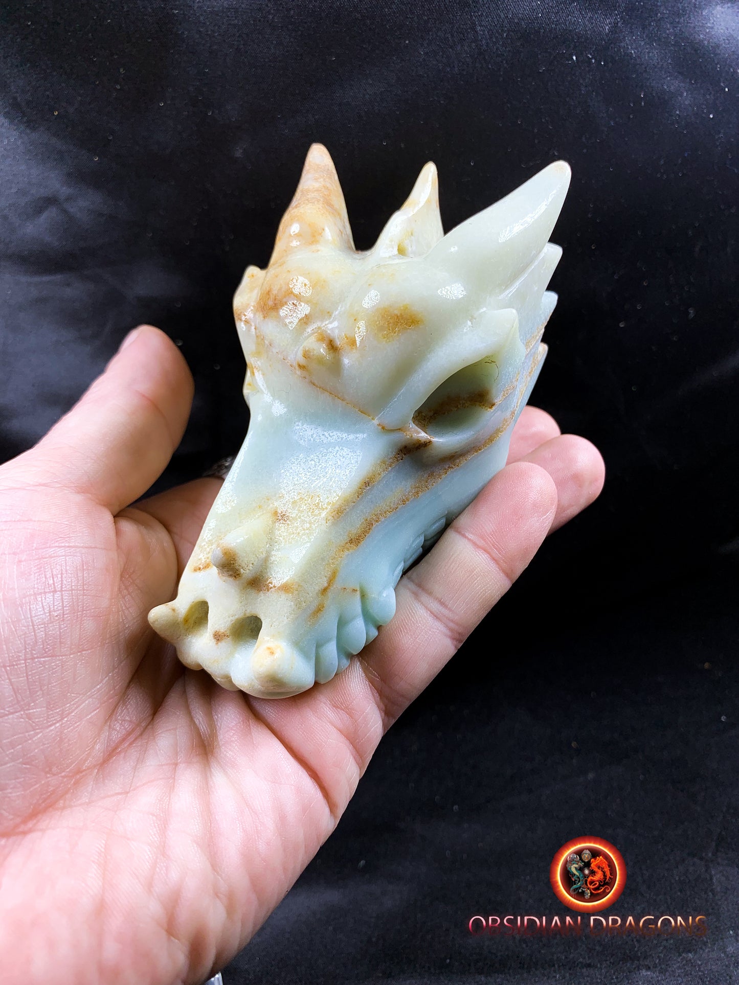 Crâne de dragon, tête de dragon, crâne de cristal, dragon skull