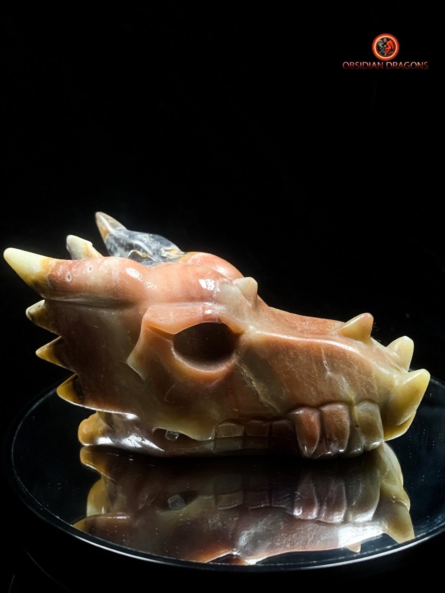 Crâne de dragon en aragonite- méditation draconique | obsidian dragons
